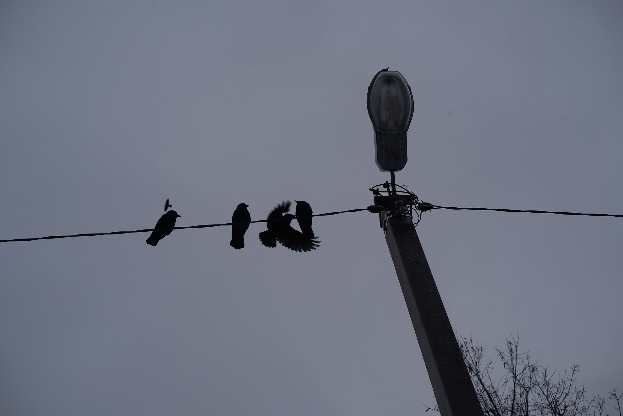 Снова Летать Высоко. Фотокнига. Рекламный и коммерческий фотограф | Георгий Романов