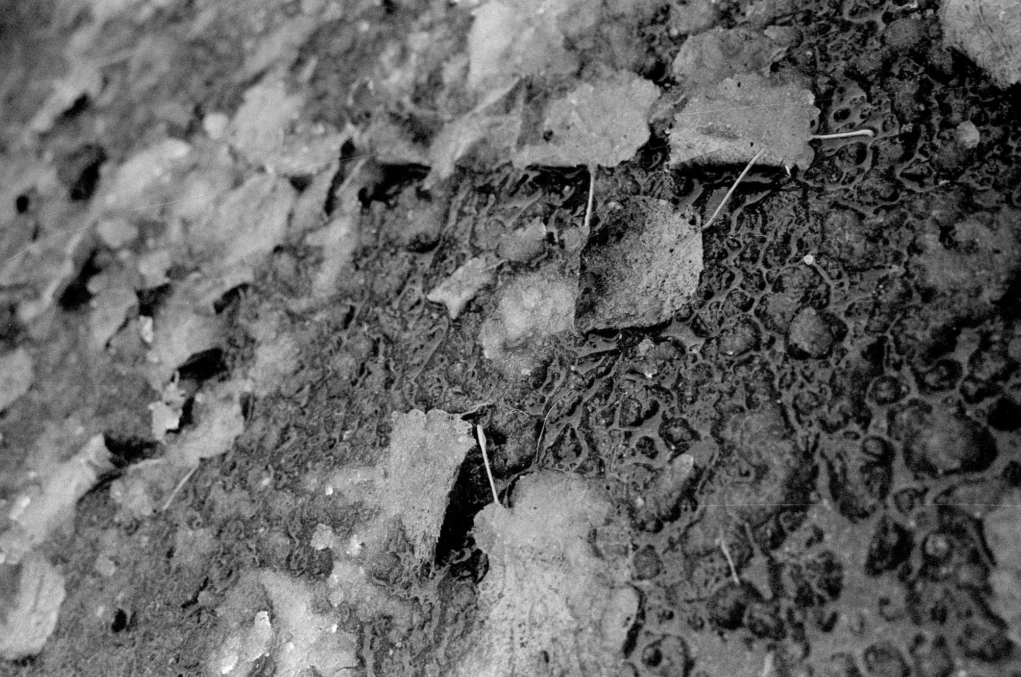 Осенний Блюз. Рекламный и коммерческий фотограф | Георгий Романов