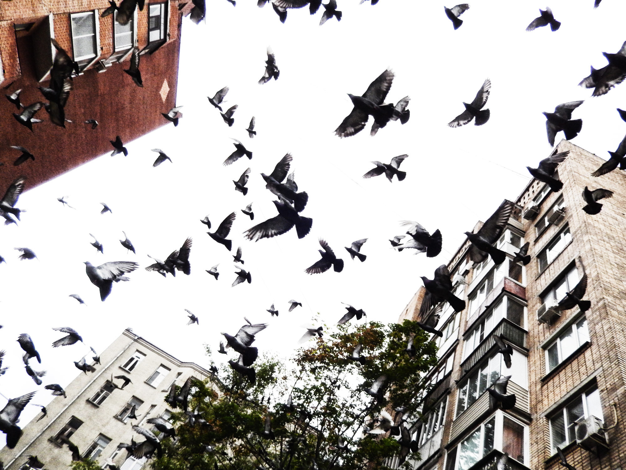 Снова Летать Высоко. Фотокнига. Рекламный и коммерческий фотограф | Георгий Романов