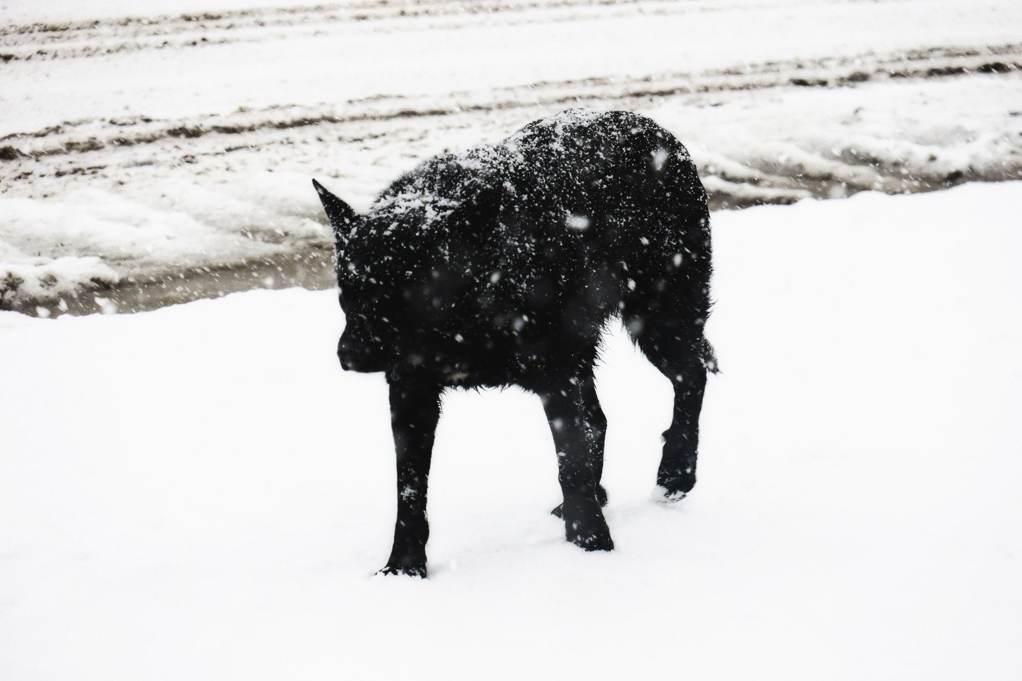 Снова Летать Высоко. Фотокнига. Рекламный и коммерческий фотограф | Георгий Романов