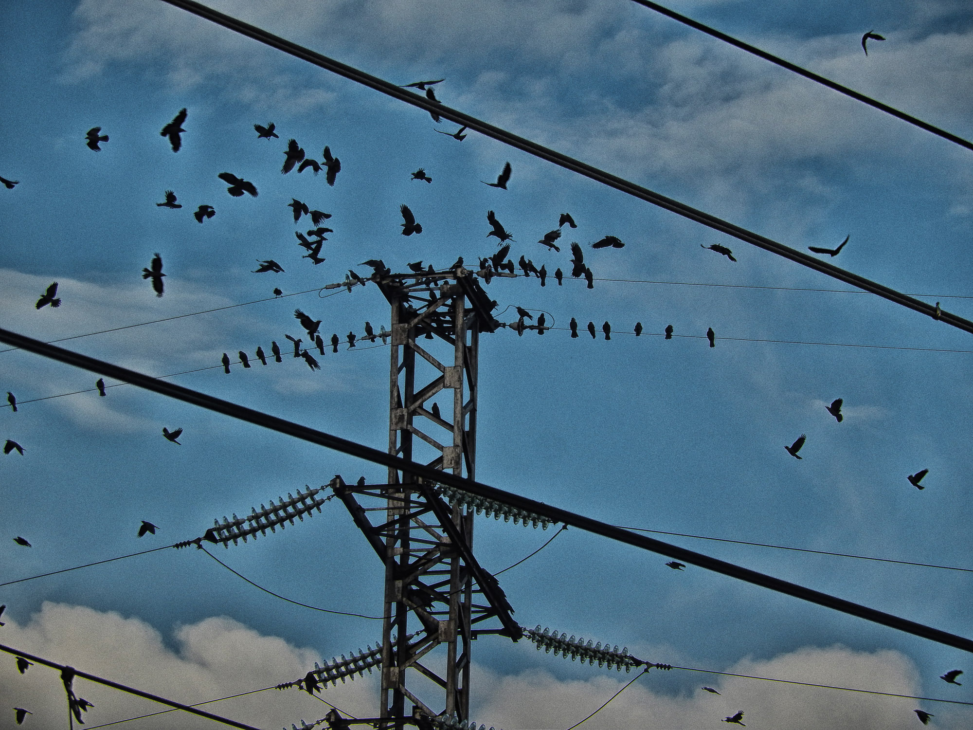 Снова Летать Высоко. Фотокнига. Рекламный и коммерческий фотограф | Георгий Романов
