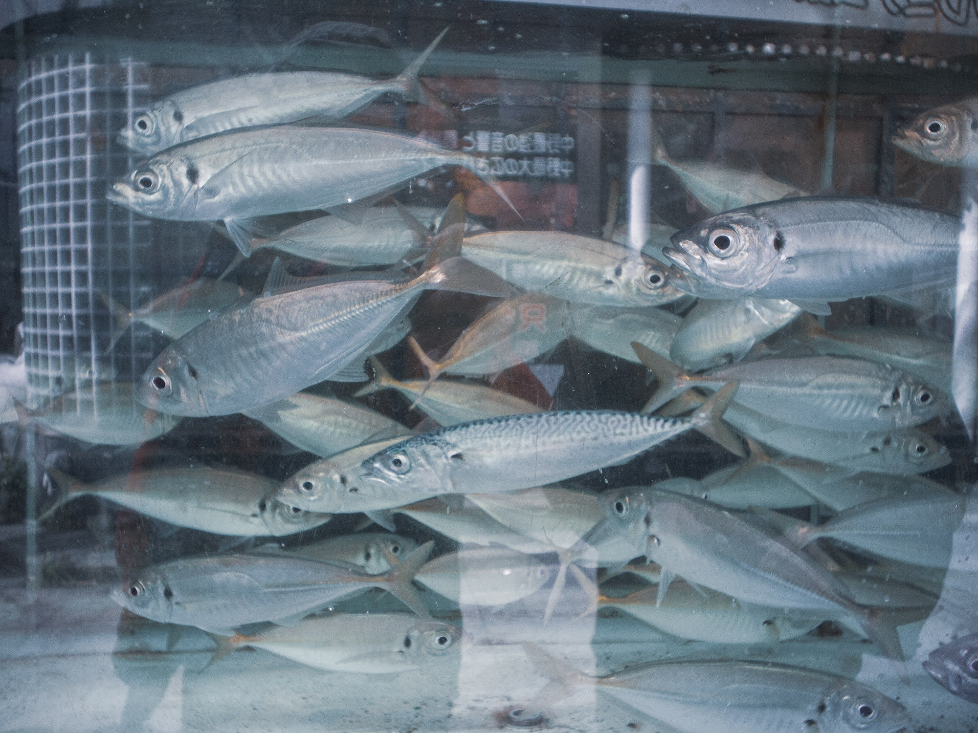 Фотографии из Книги "FLASHBACK". Рекламный и коммерческий фотограф | Георгий Романов