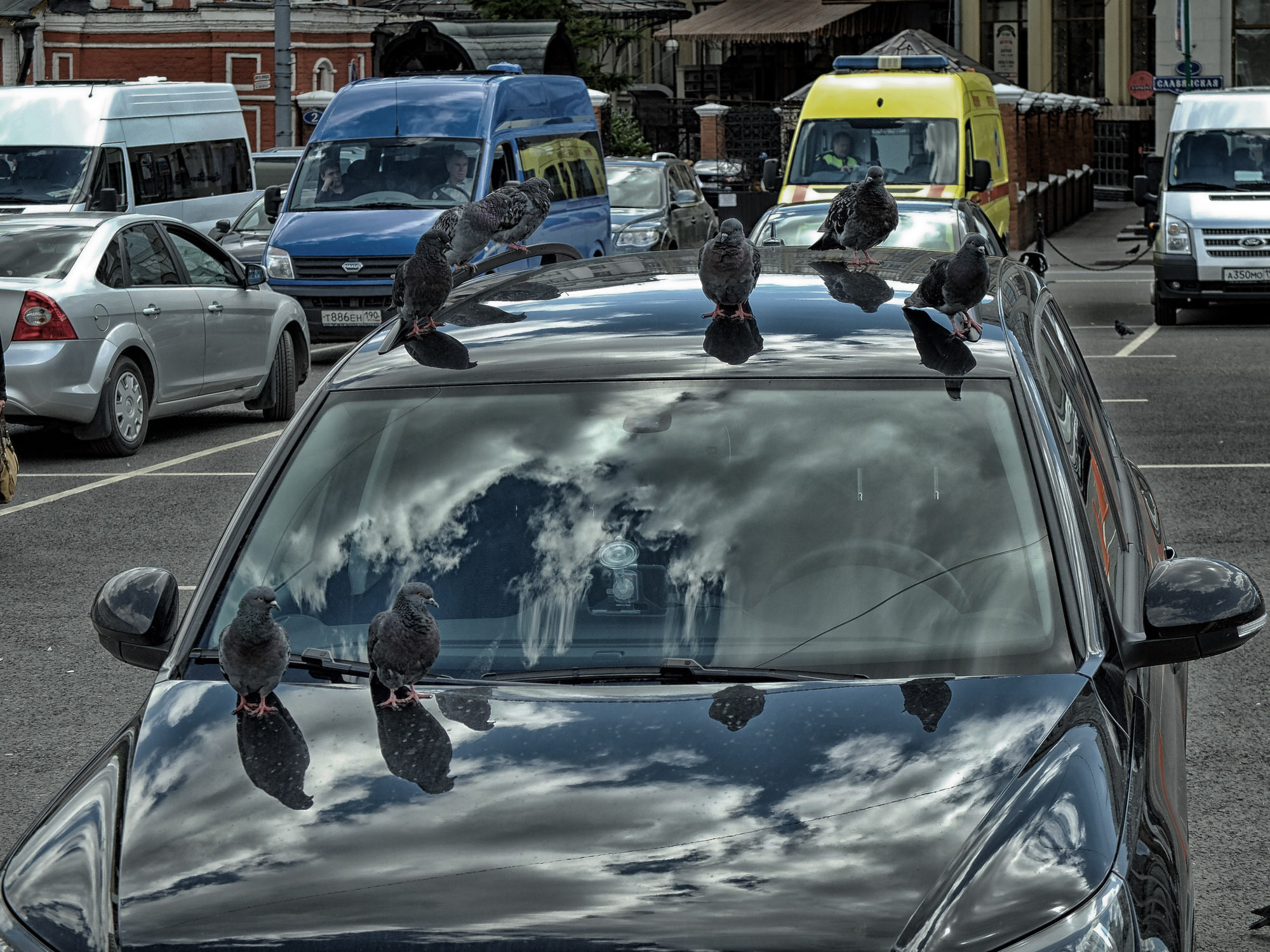 Снова Летать Высоко. Фотокнига. Рекламный и коммерческий фотограф | Георгий Романов