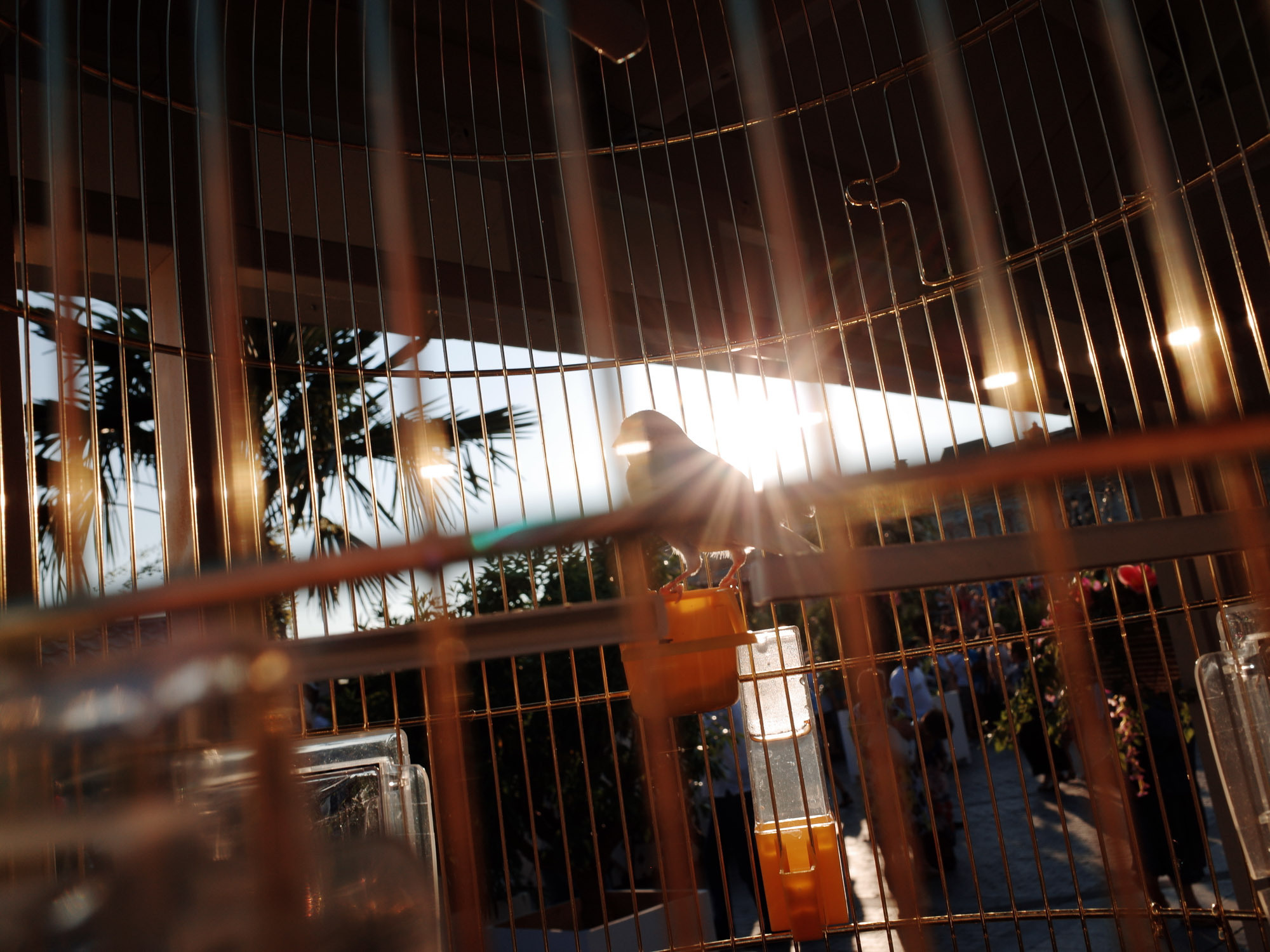 Снова Летать Высоко. Фотокнига. Рекламный и коммерческий фотограф | Георгий Романов