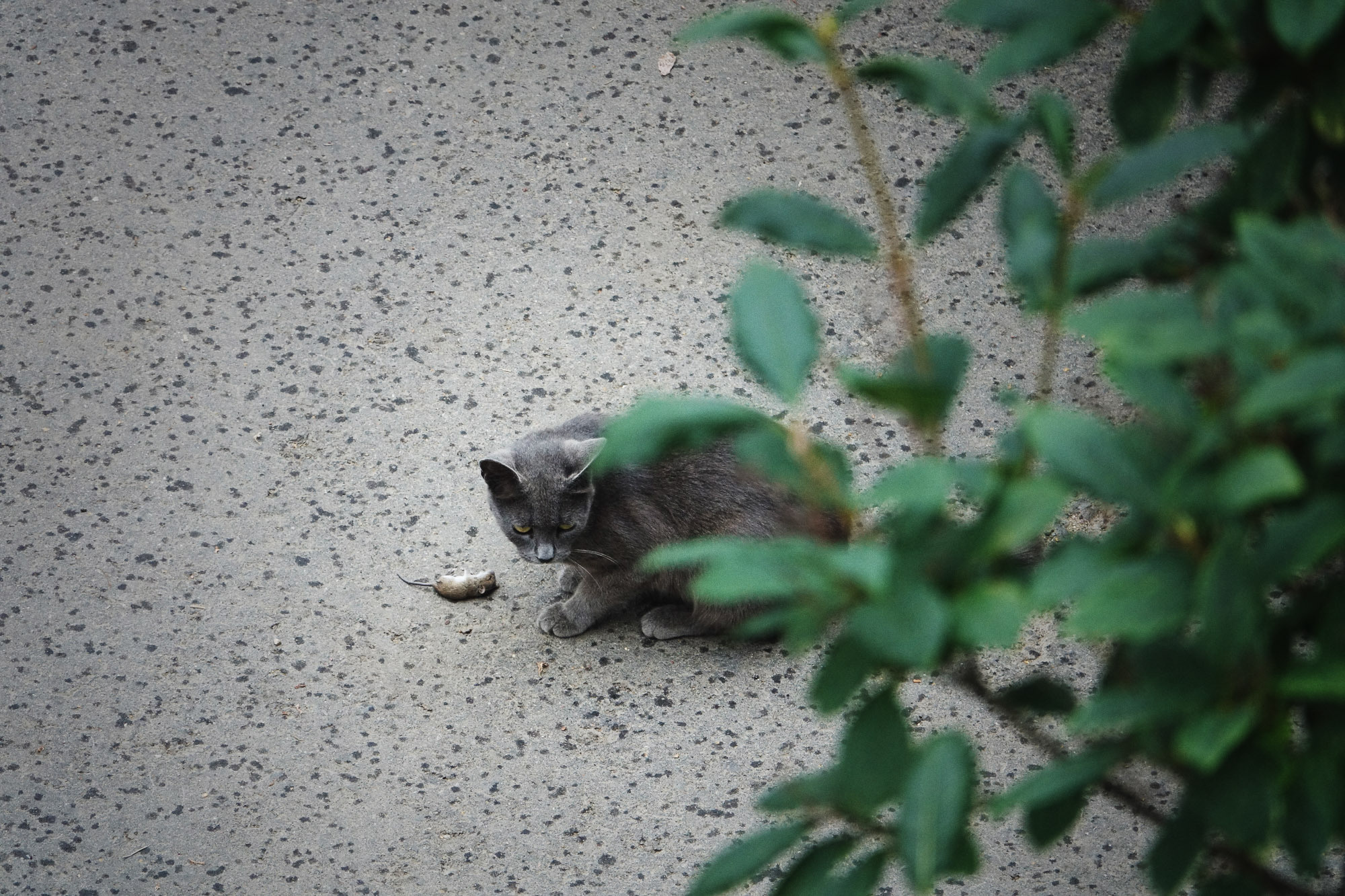 Снова Летать Высоко. Фотокнига. Рекламный и коммерческий фотограф | Георгий Романов