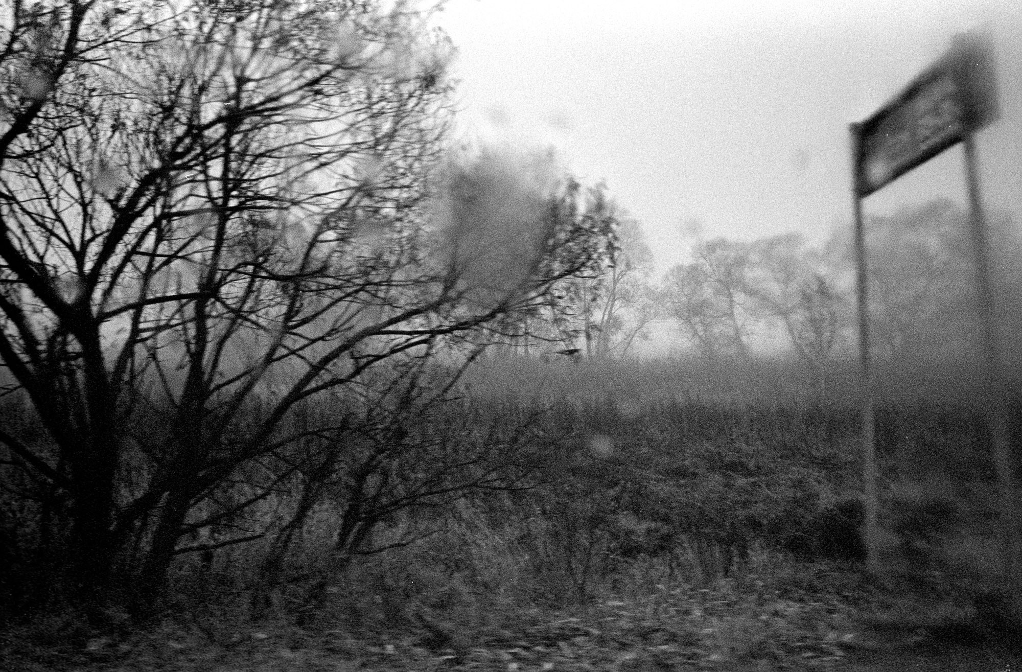 Осенний Блюз. Рекламный и коммерческий фотограф | Георгий Романов