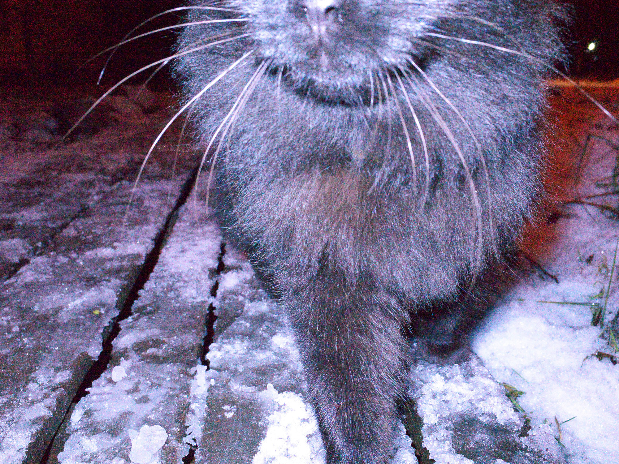 Снова Летать Высоко. Фотокнига. Рекламный и коммерческий фотограф | Георгий Романов