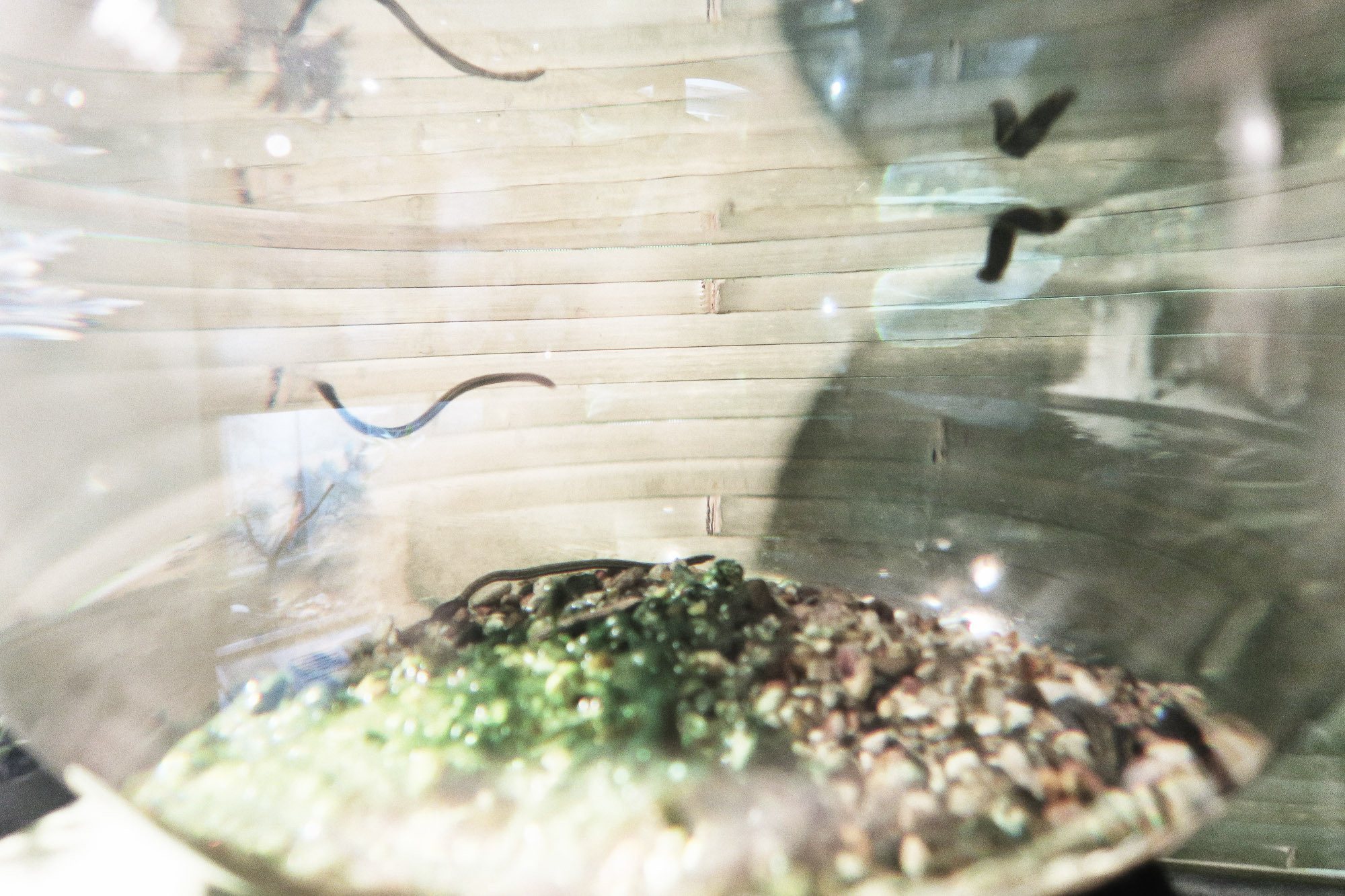 Снова Летать Высоко. Фотокнига. Рекламный и коммерческий фотограф | Георгий Романов