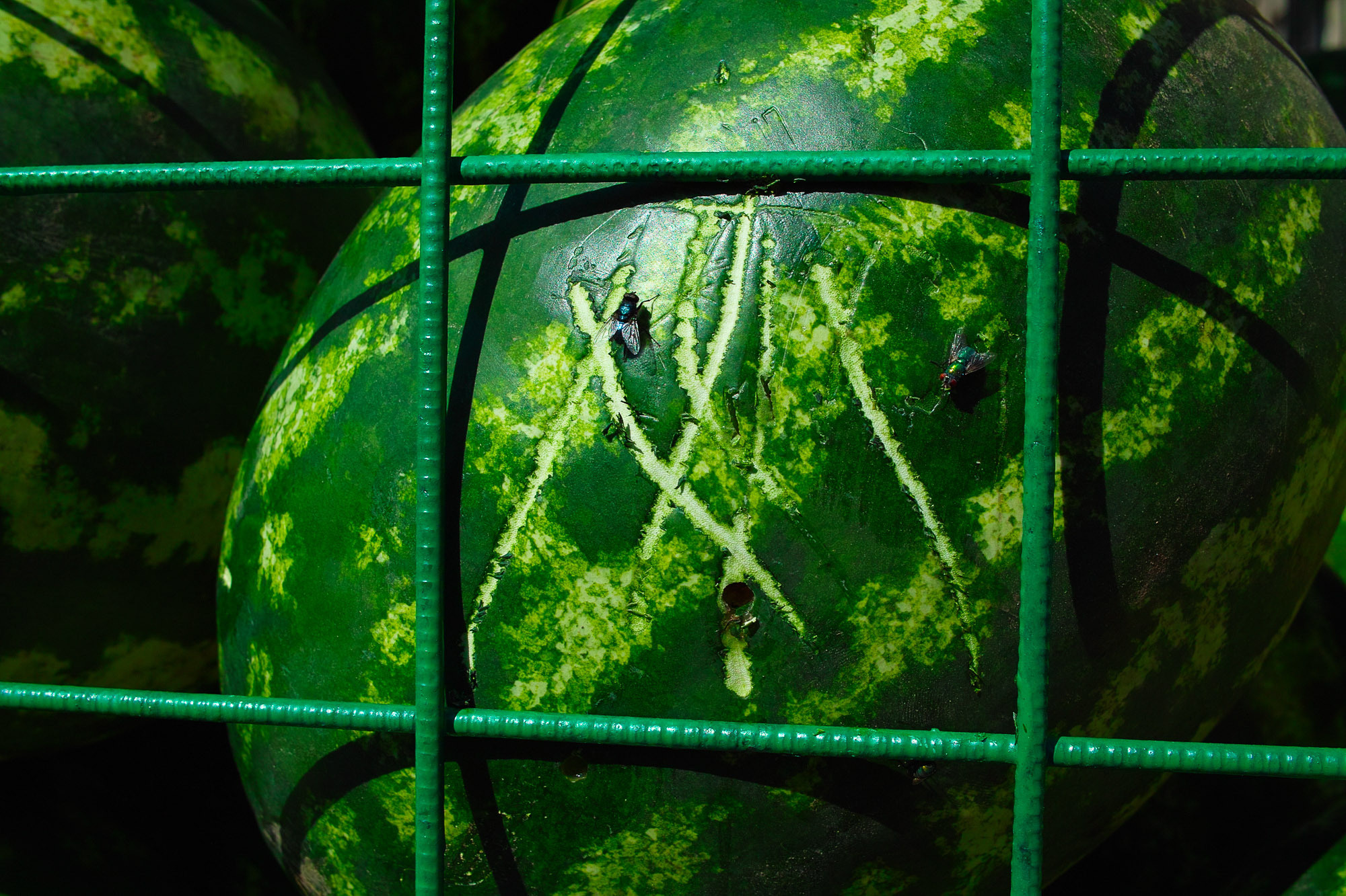 Снова Летать Высоко. Фотокнига. Рекламный и коммерческий фотограф | Георгий Романов