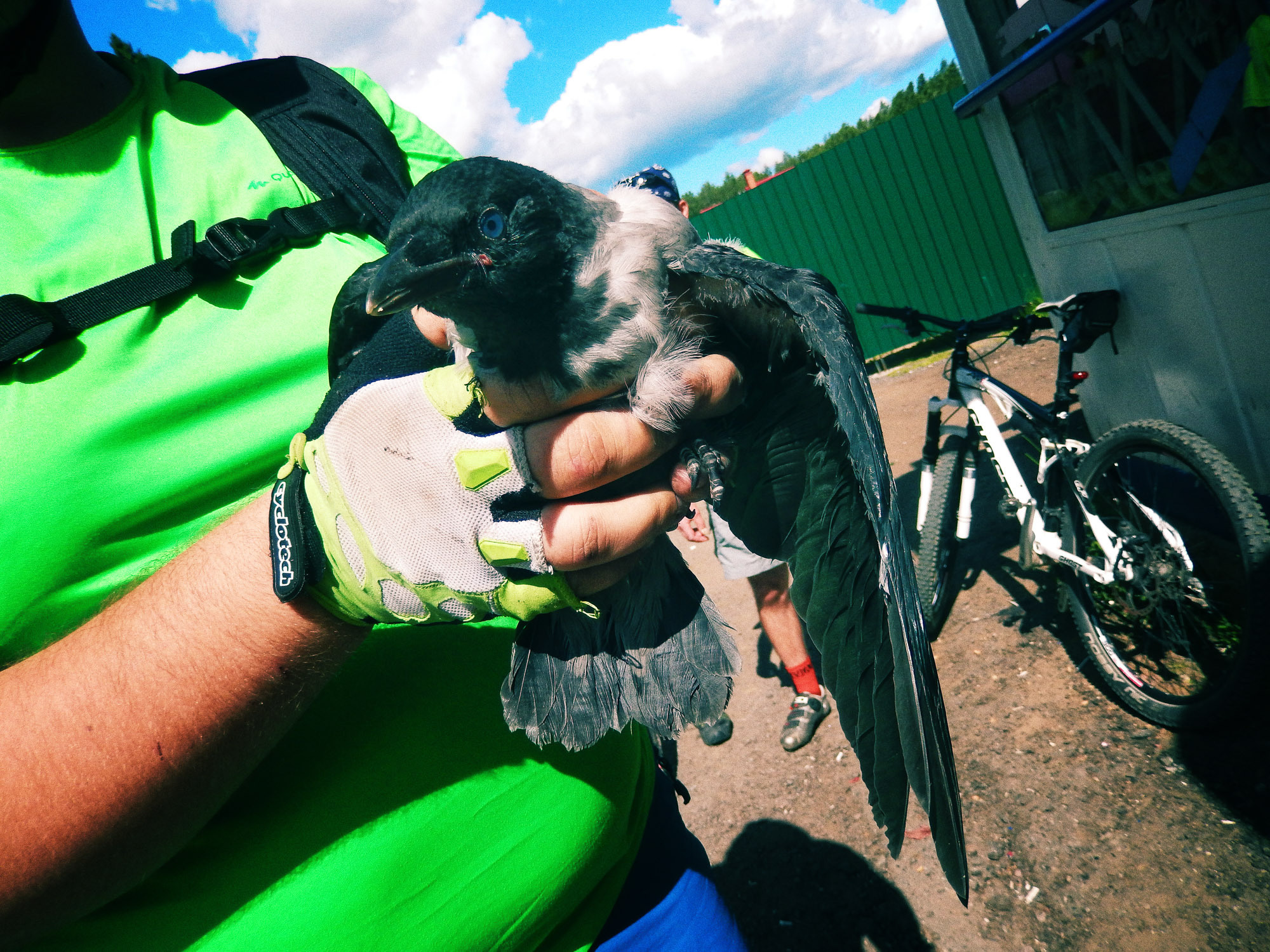 Снова Летать Высоко. Фотокнига. Рекламный и коммерческий фотограф | Георгий Романов