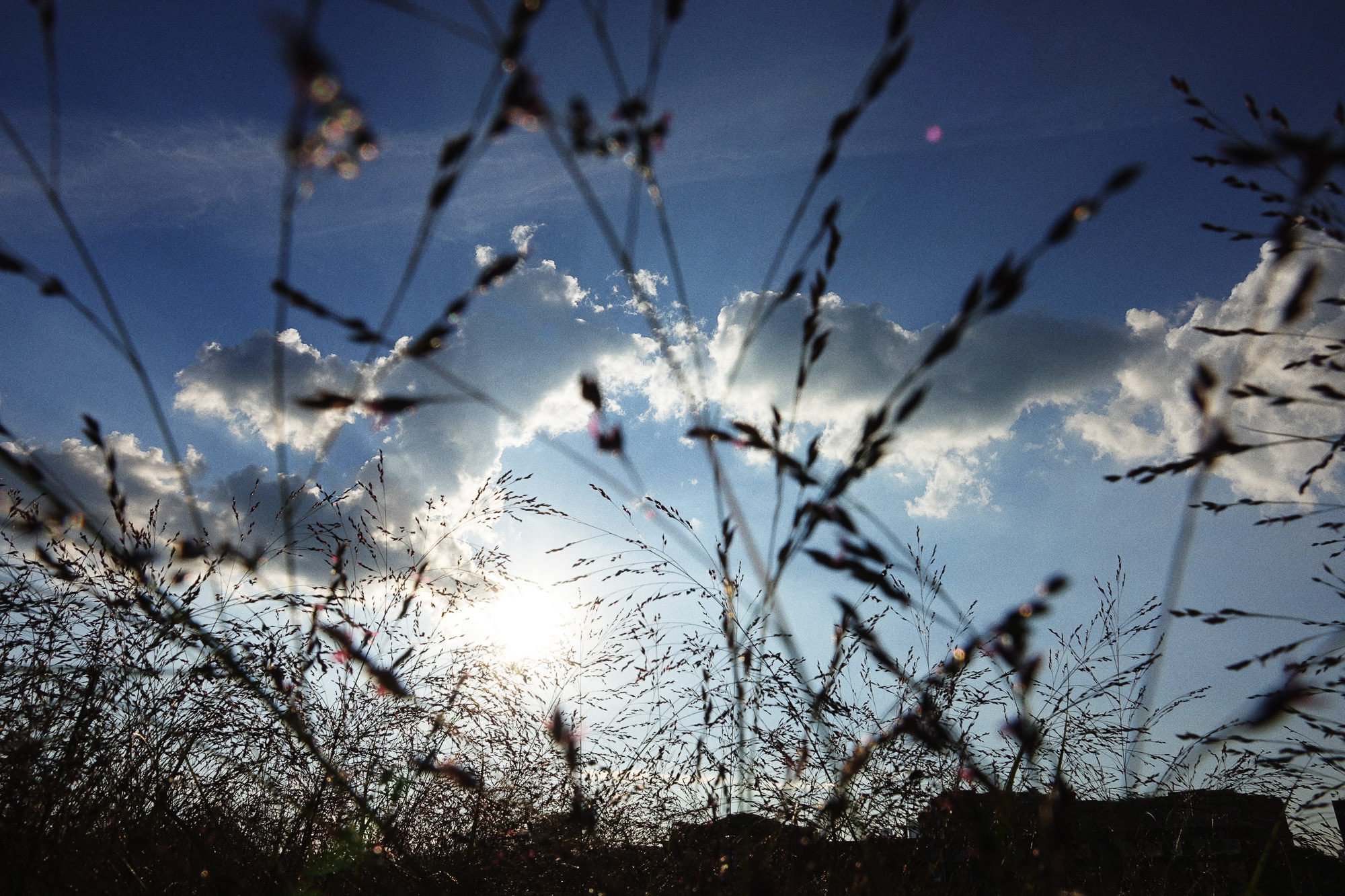 Снова Летать Высоко. Фотокнига. Рекламный и коммерческий фотограф | Георгий Романов