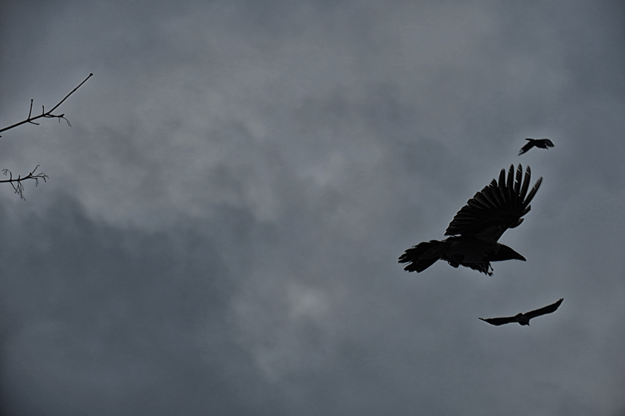 Снова Летать Высоко. Фотокнига. Рекламный и коммерческий фотограф | Георгий Романов