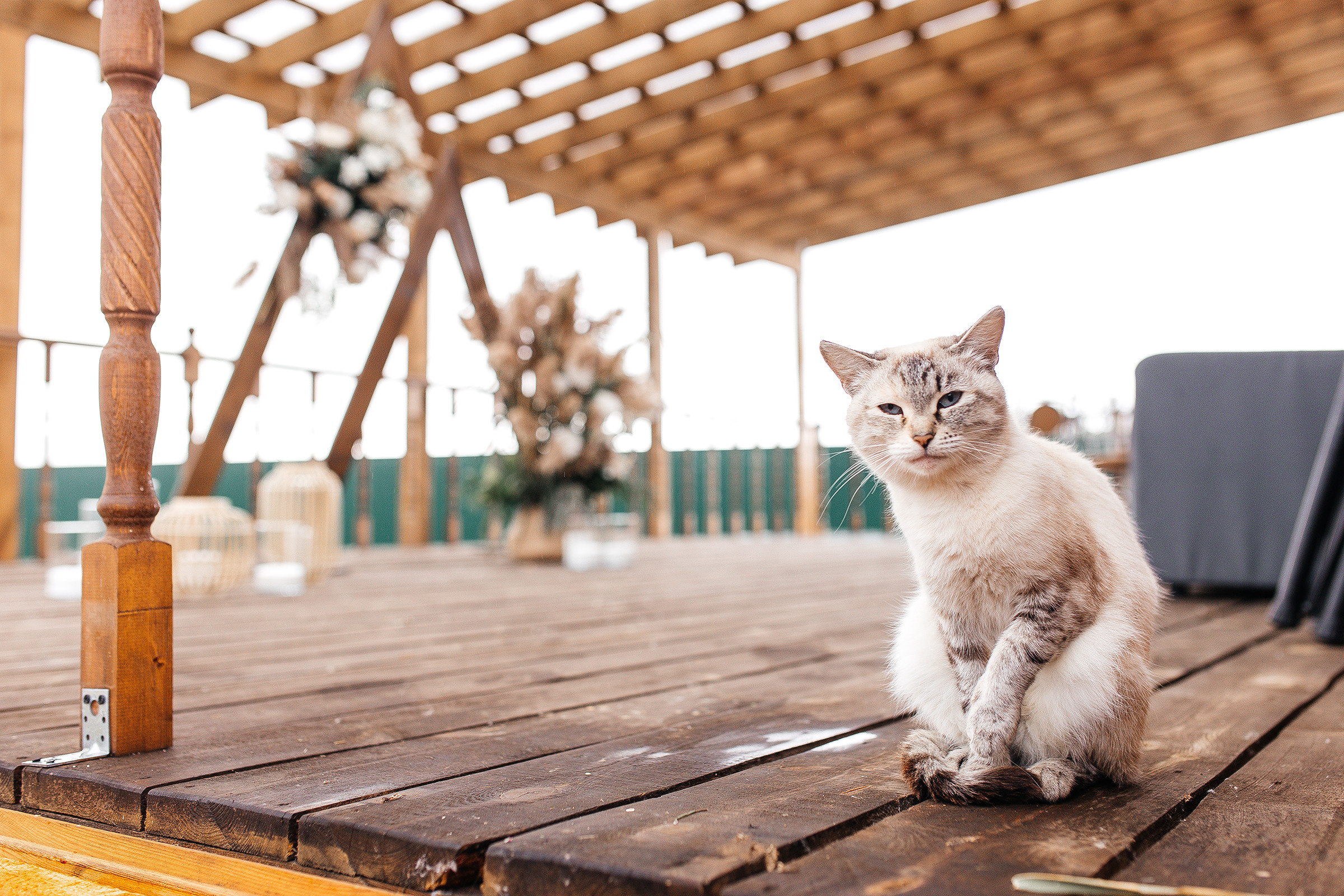 Фотосессия Love story фотограф озерск фотограф екатеринбург фотограф челябинск свадебный фотограф лучший свадебный фотограф wedding свадьба фото фотограф Анатолий Банников необычная фотосессия в горах