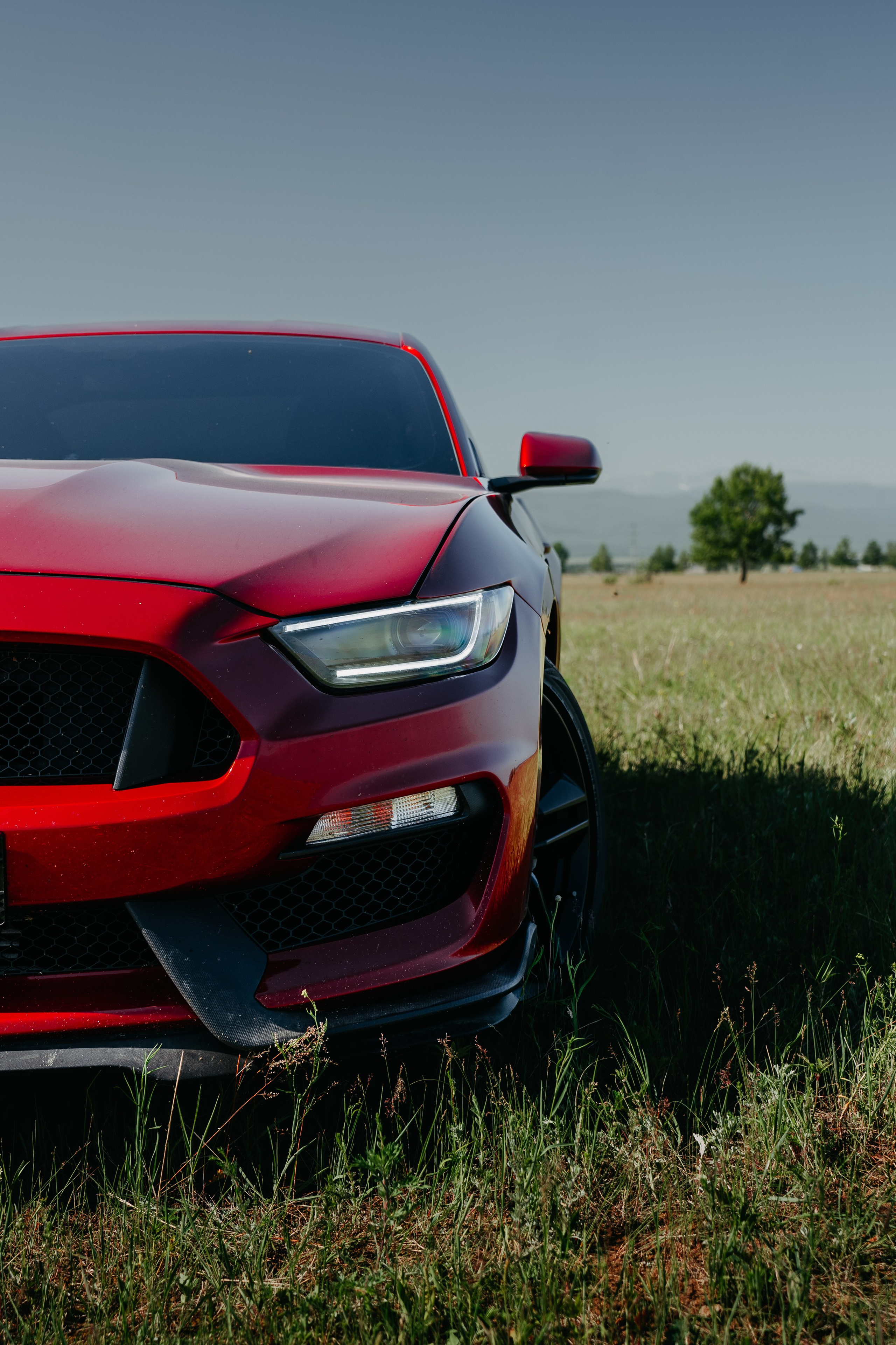 Ford Mustang. Фотограф, видеограф и пилот дрона на Байкале