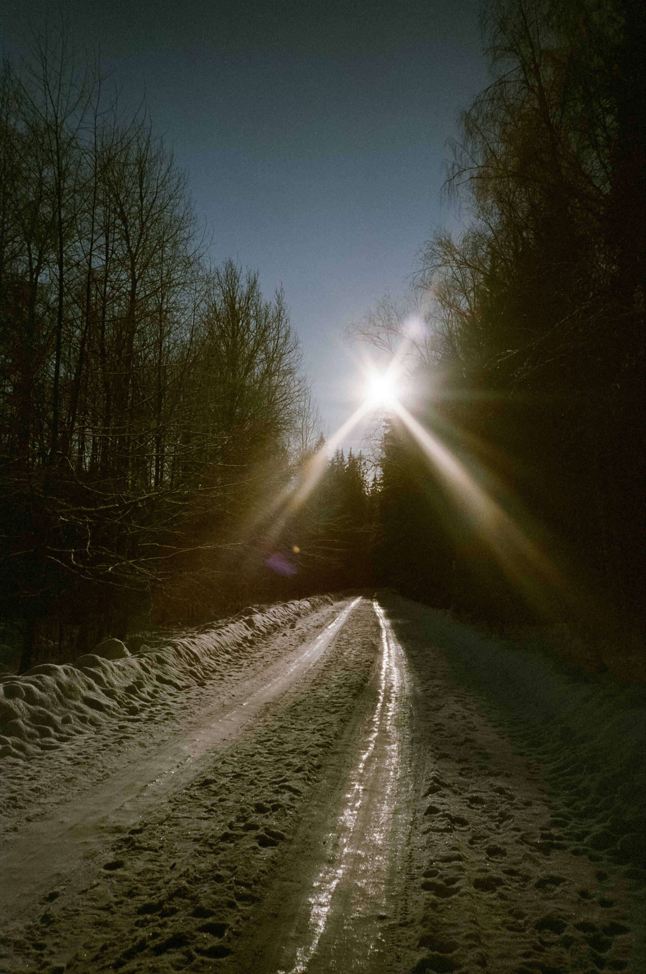 Chinon Auto 3001 (2) / Fuji Eterna 250D (ISO 100) / Давыдовское, Лукин