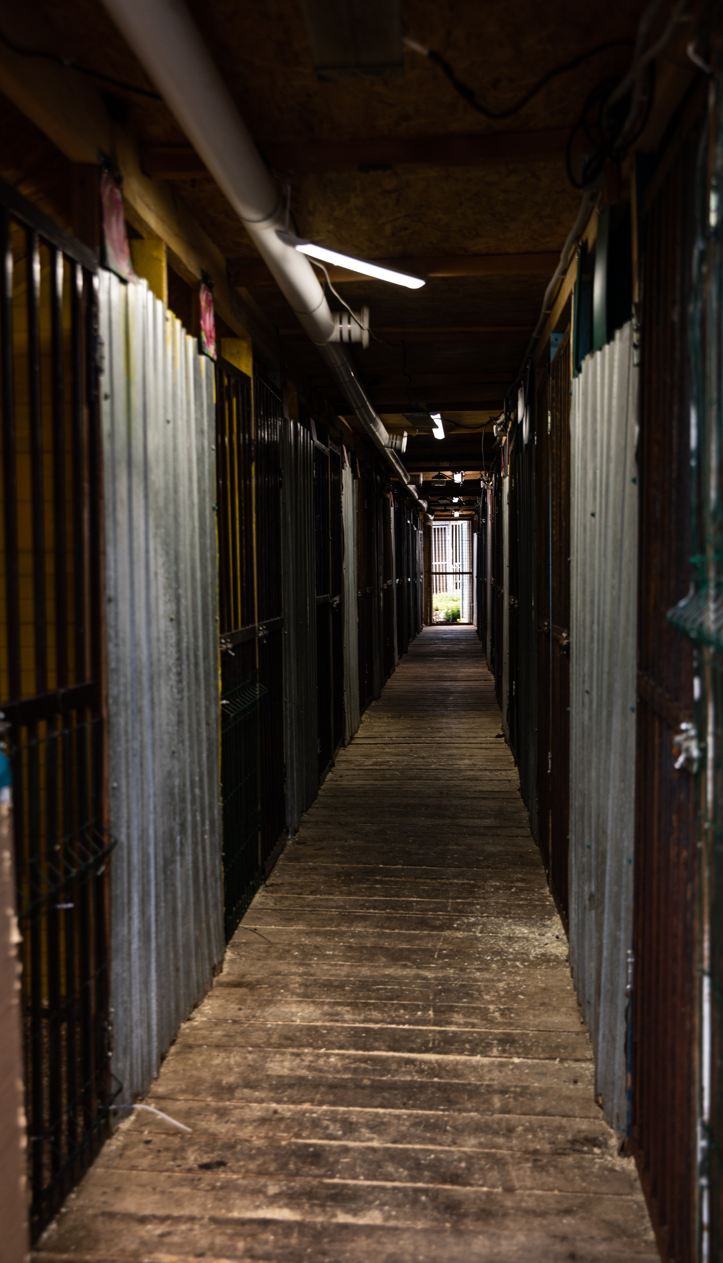 Приют — Наш дом. Репортажный и свадебный фотограф в Челябинске Елисеев Павел