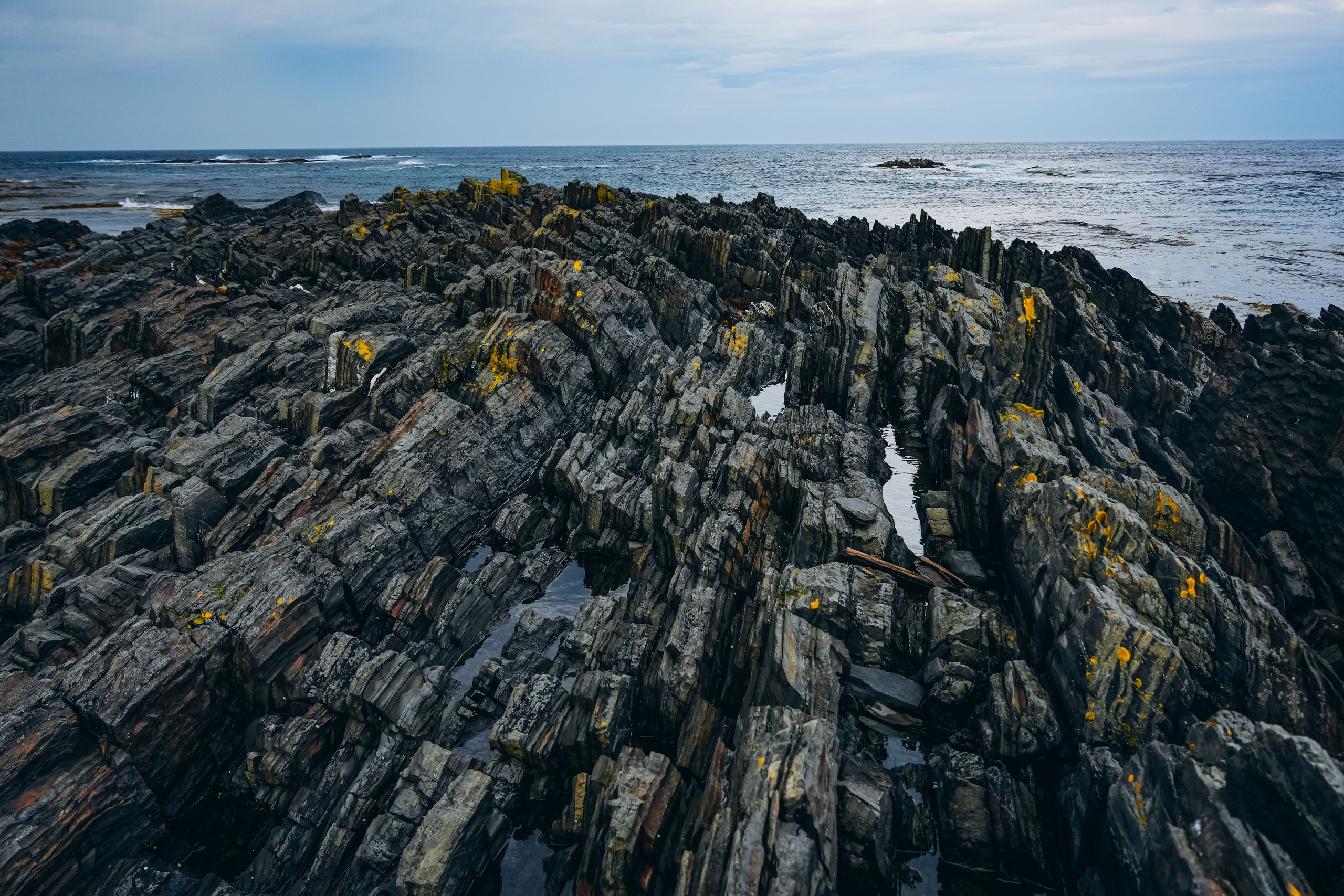 СЕВЕР. Event фотограф Степанова Александра