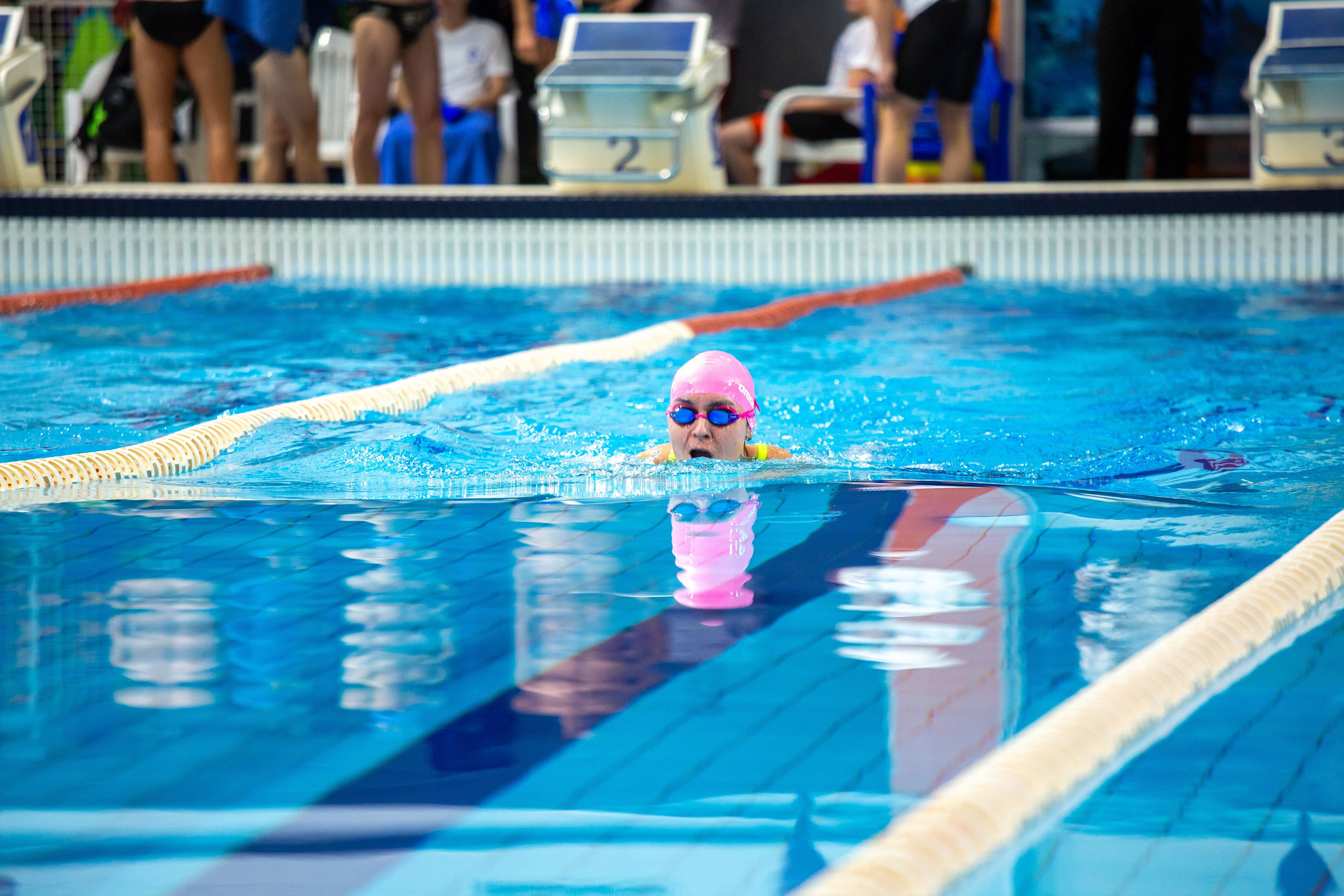Турнир по плаванию. Репортажный, семейный, свадебный, портретный фотограф