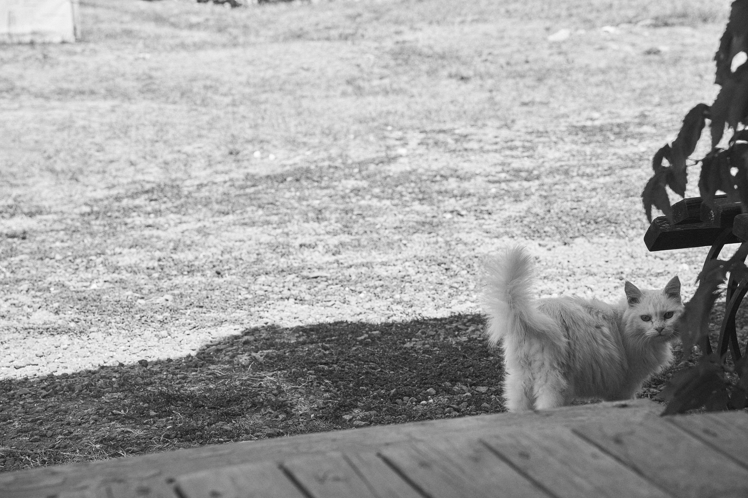 ФОТОГРАФ ЕКАТЕРИНБУРГ