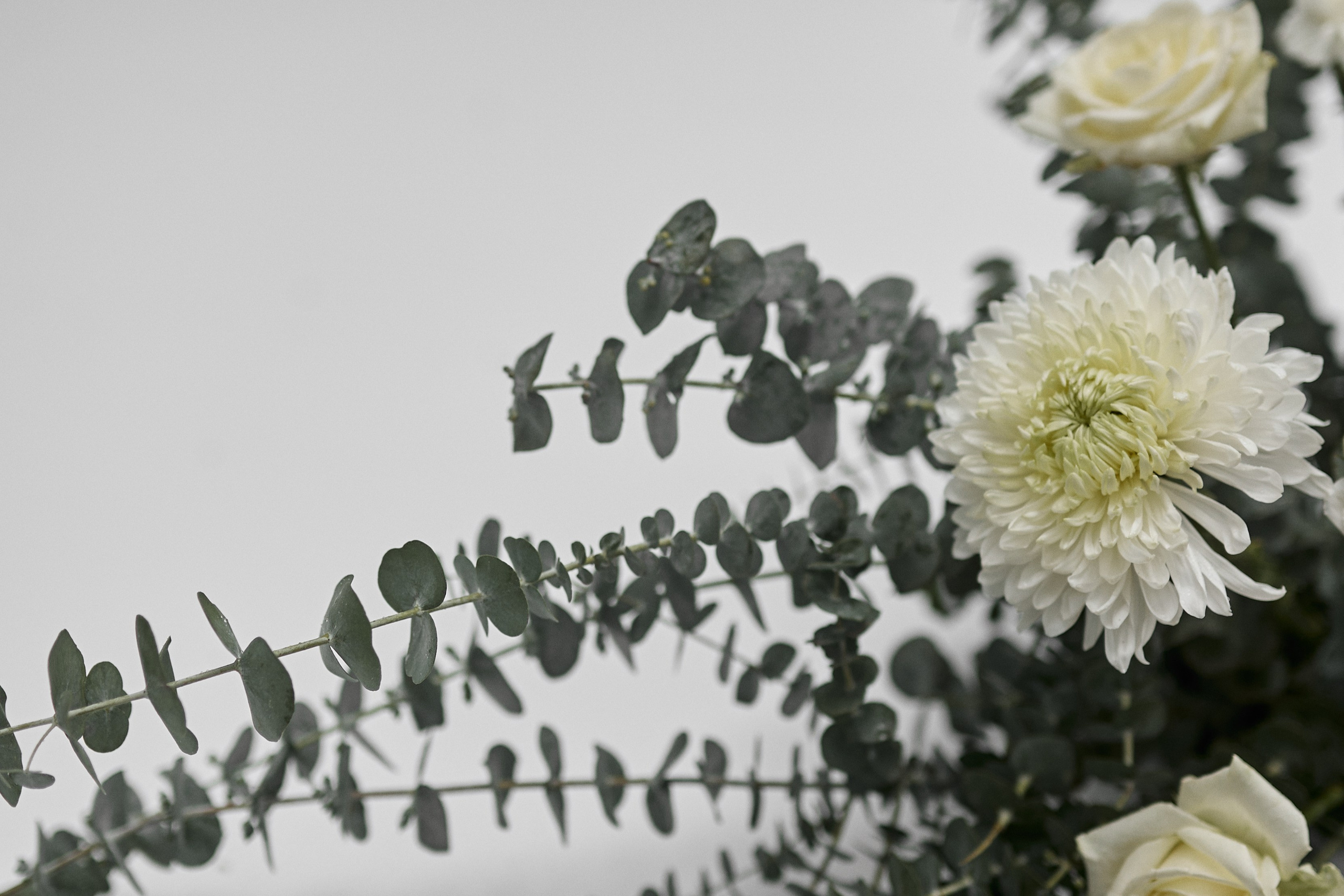 Crystal Swirl. Студия декора НикитинаДекор — оформление мероприятий в Ульяновске. Профессиональное создание эксклюзивных декораций