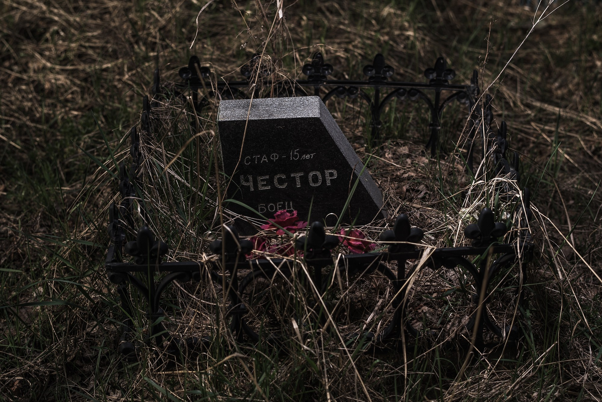 Кладбище домашних животных. Промышленная и репортажная фотография