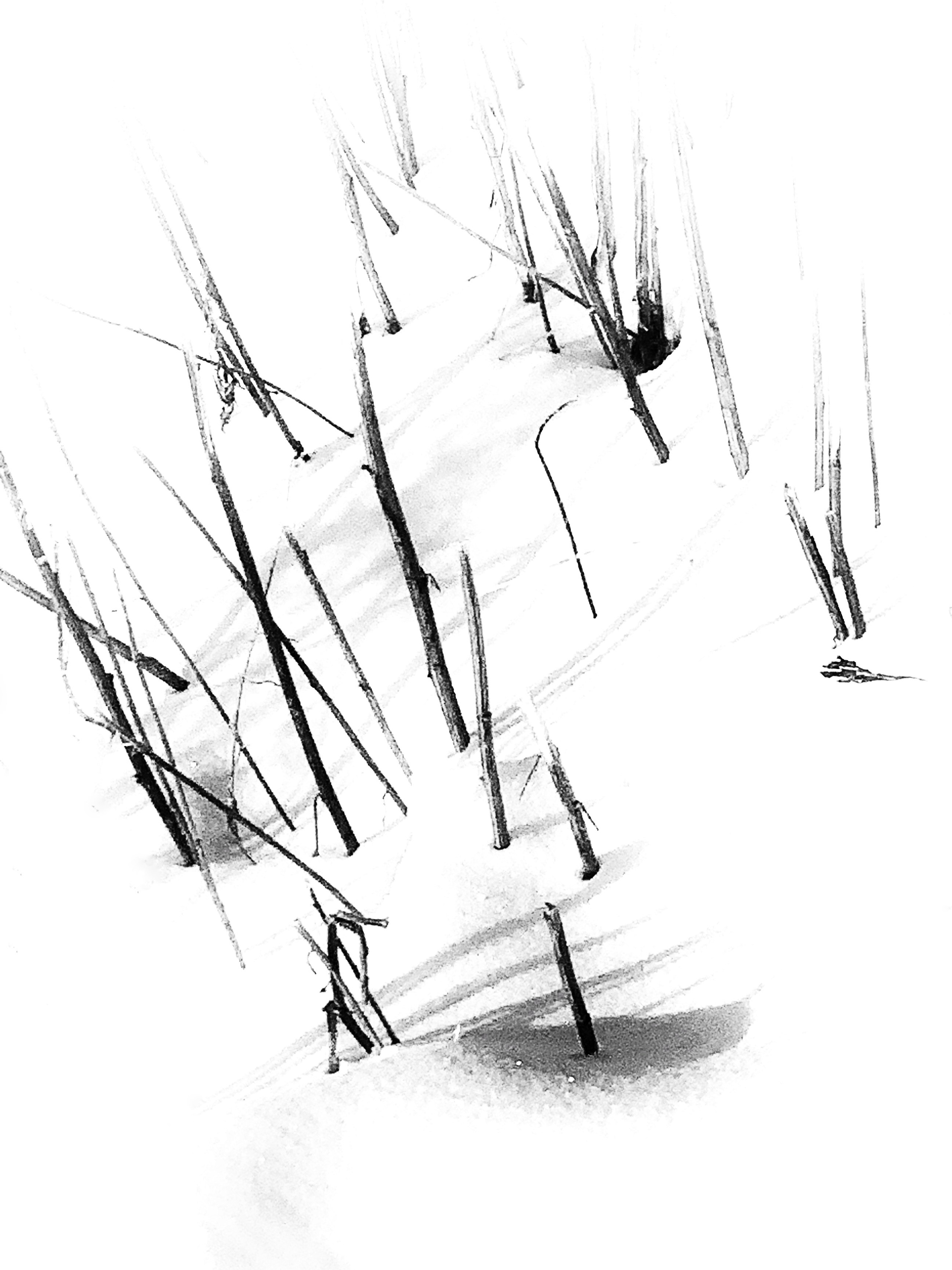 2022. Тащилин Сергей. Фотографии. Жизнь. Хобби