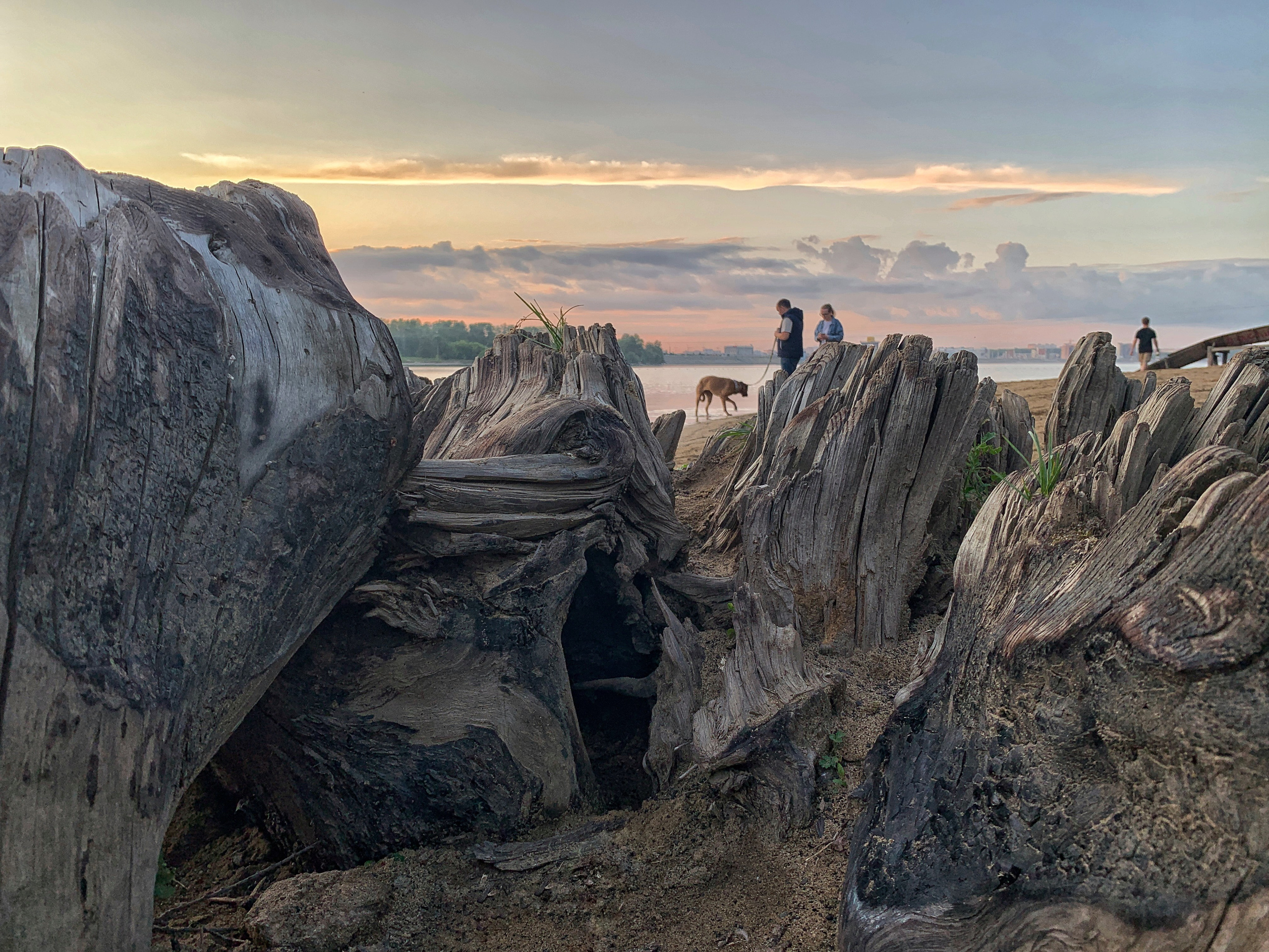 2022. Тащилин Сергей. Фотографии. Жизнь. Хобби