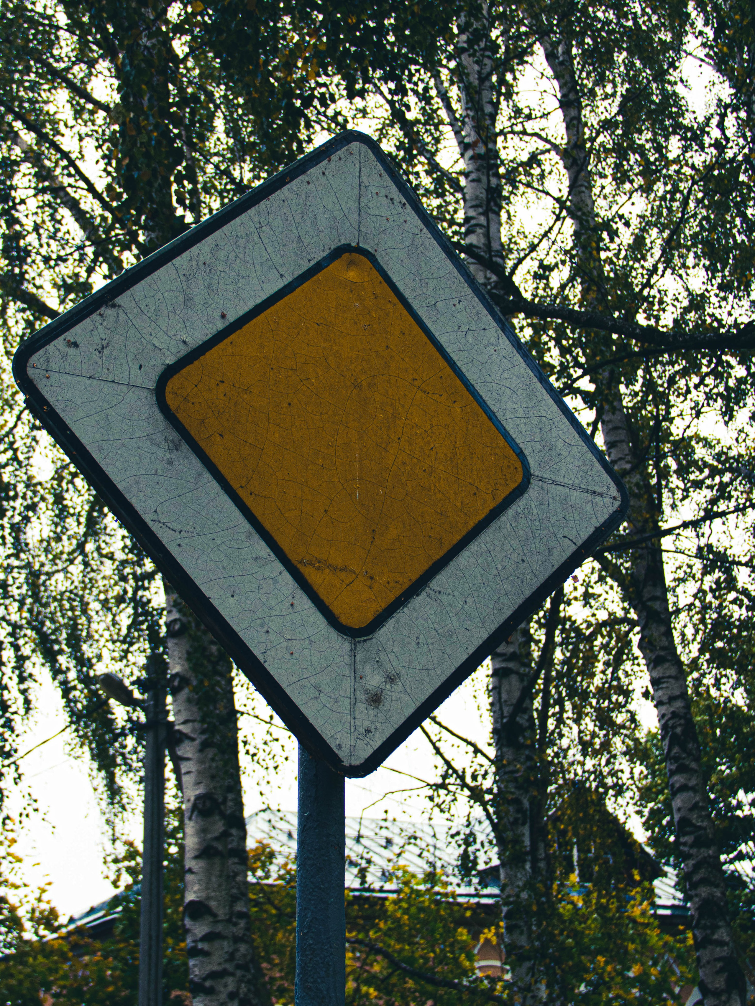 Село Петрилово (28.09.24). «Матрица»