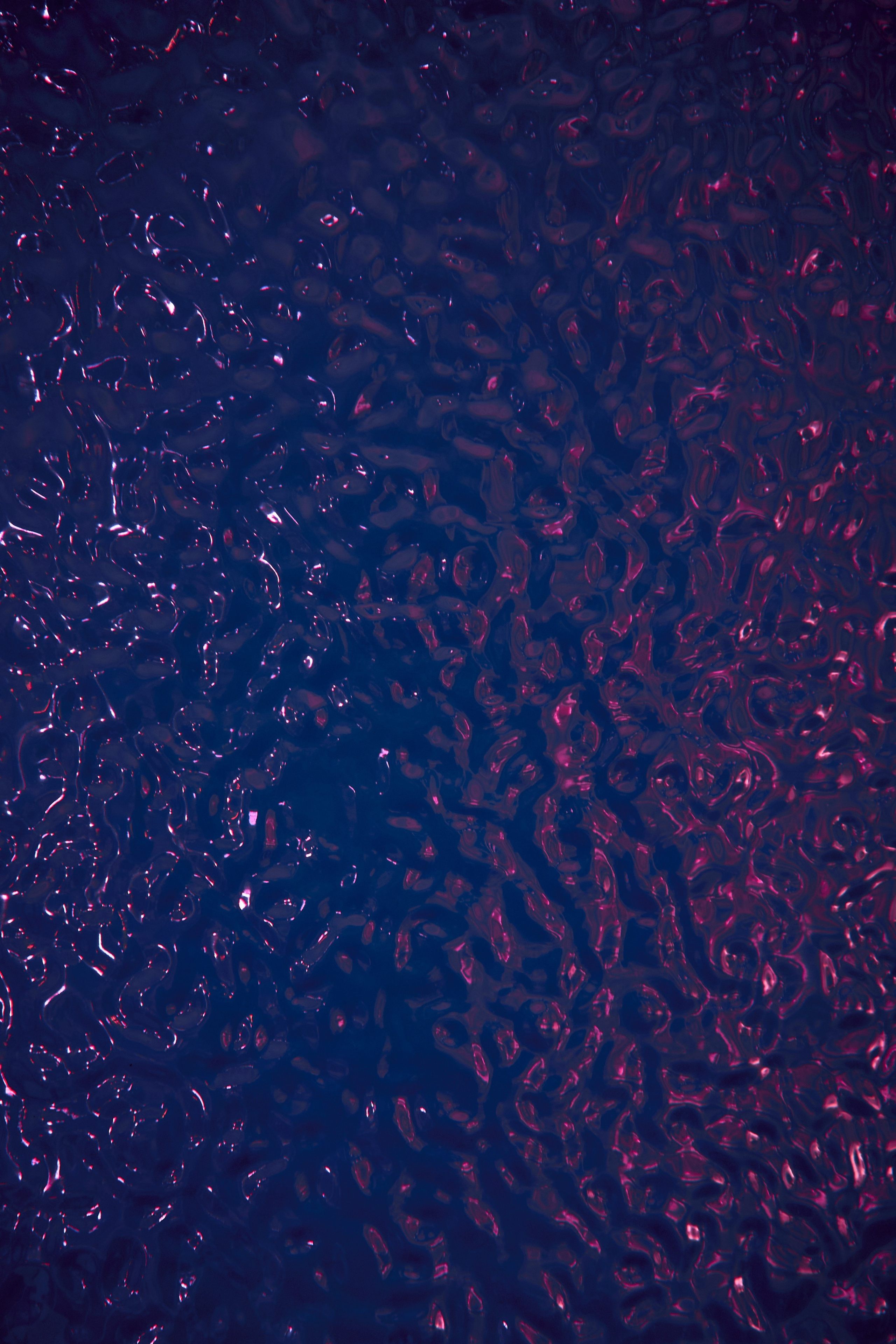 Красивое сватовство со звездами в Сид Холе в Пятигорске! ТВИНС СТУДИО. ТВИНС СТУДИО — лучшие свадебные фотографы и видеографы в Краснодаре