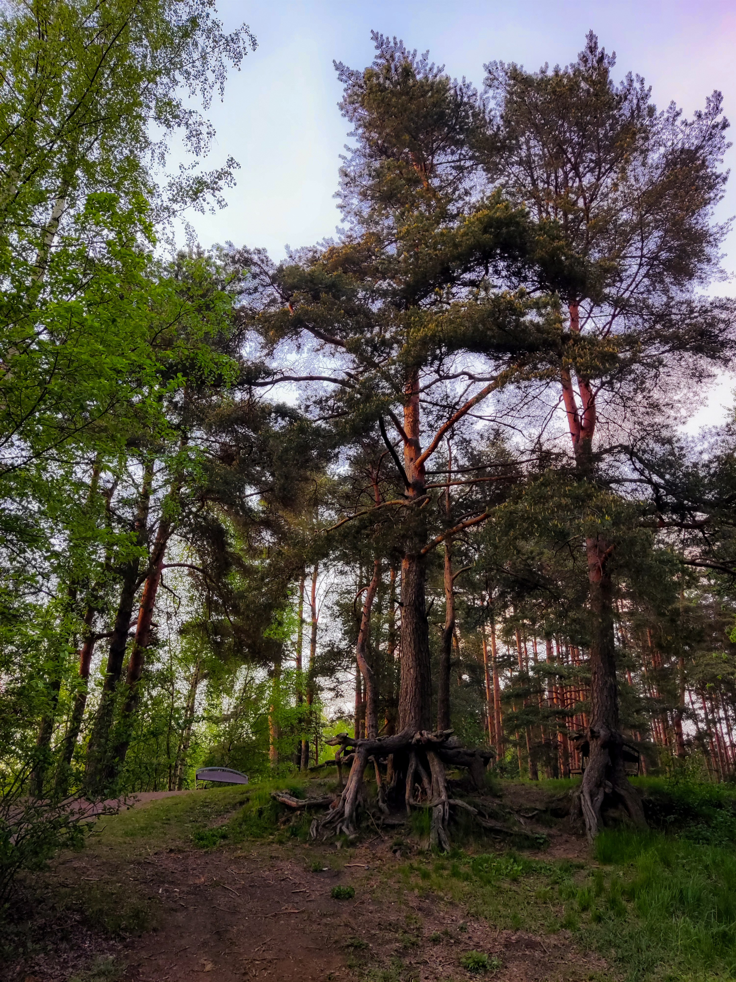 Стрит-фото. F.O.xygen