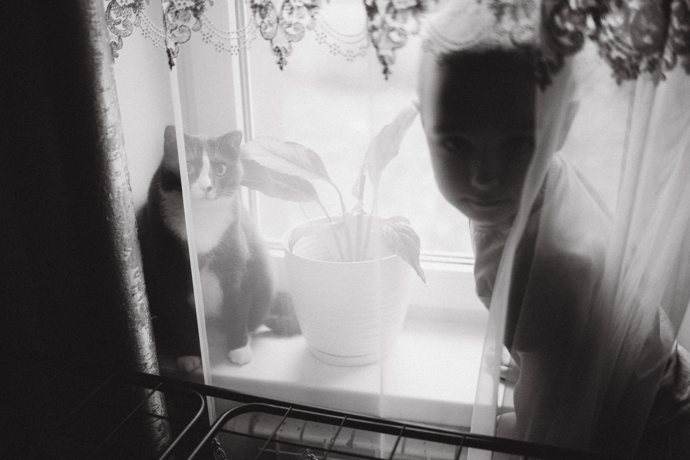 Чай с ллидинками. Фотограф Daria Wilner