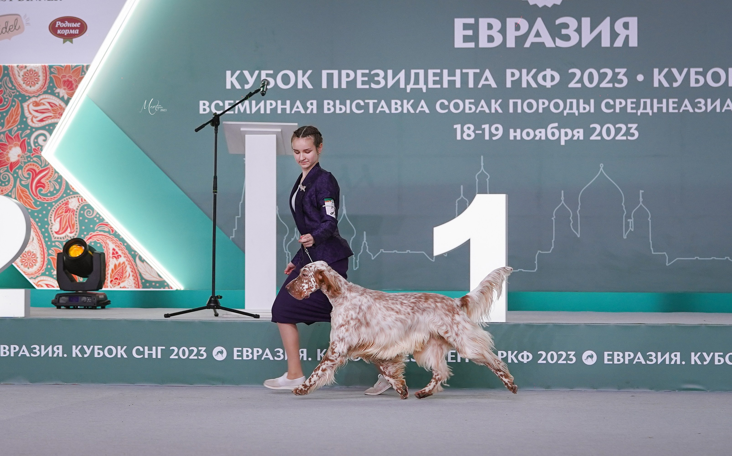 Выставки 2023. Фотограф-анималист в Санкт-Петербурге Яна Мартынова