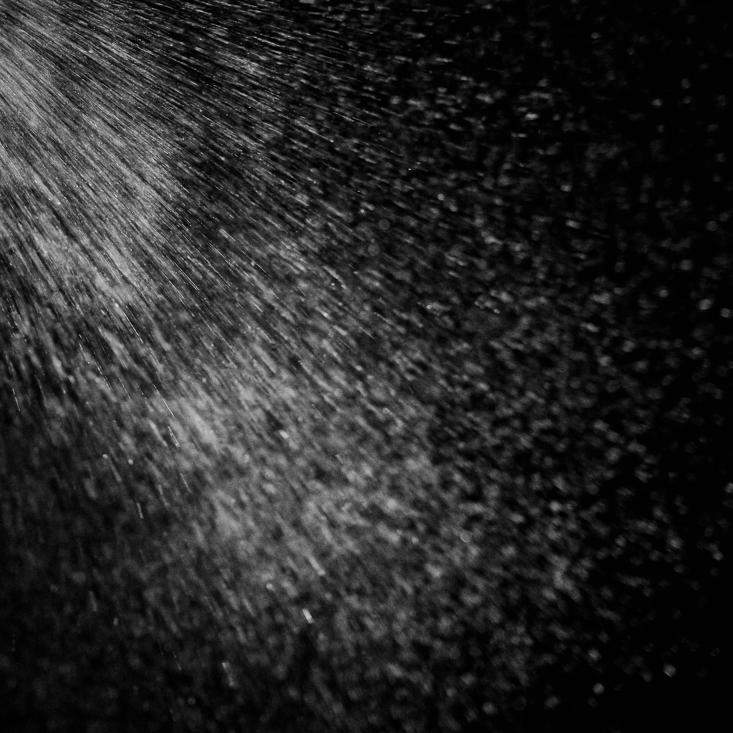 WFE. Свадебный фотограф Артем Ковалев