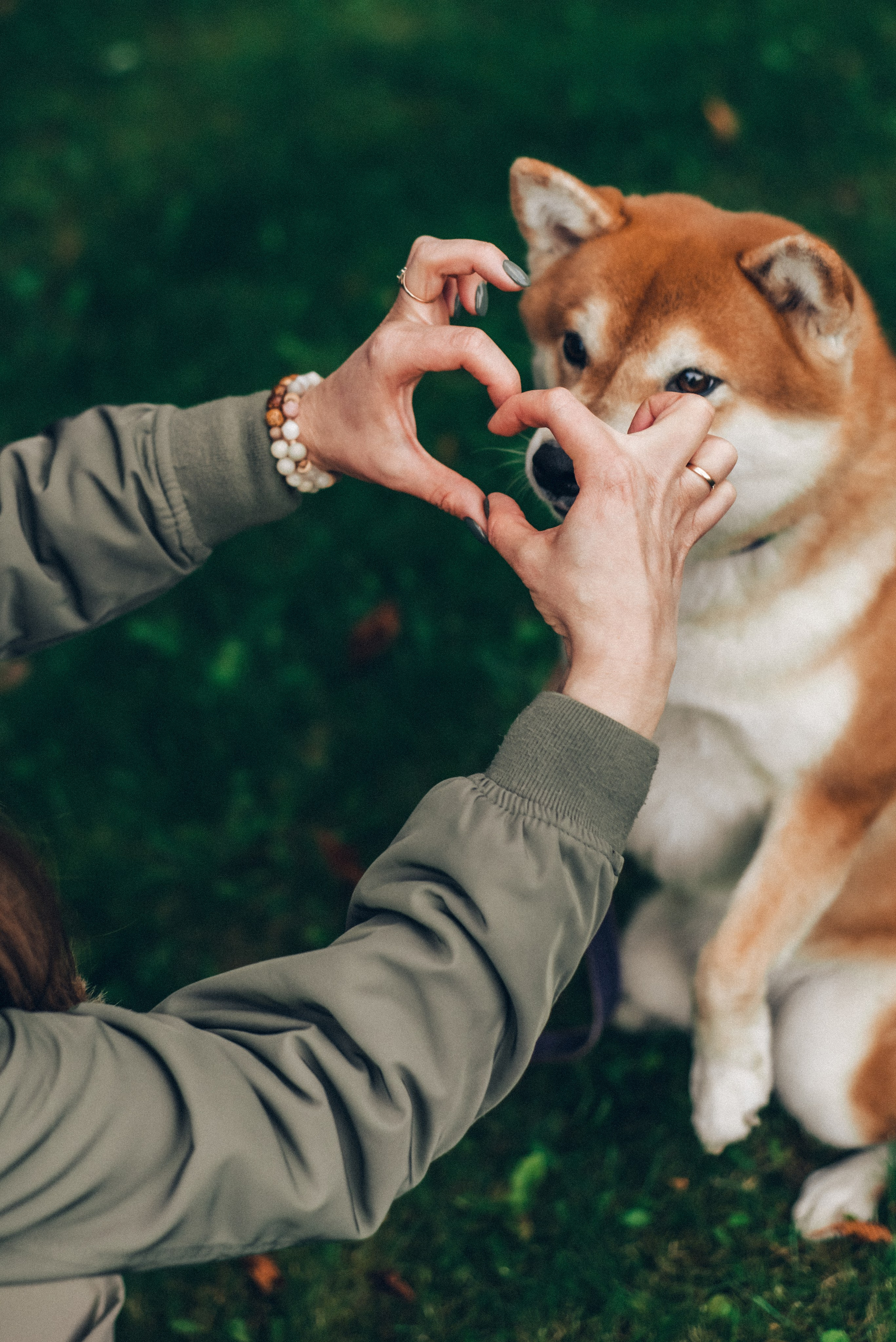 Ксения и Айки. Ольга Козлова фотограф Волгоград olkiny-fotki.ru