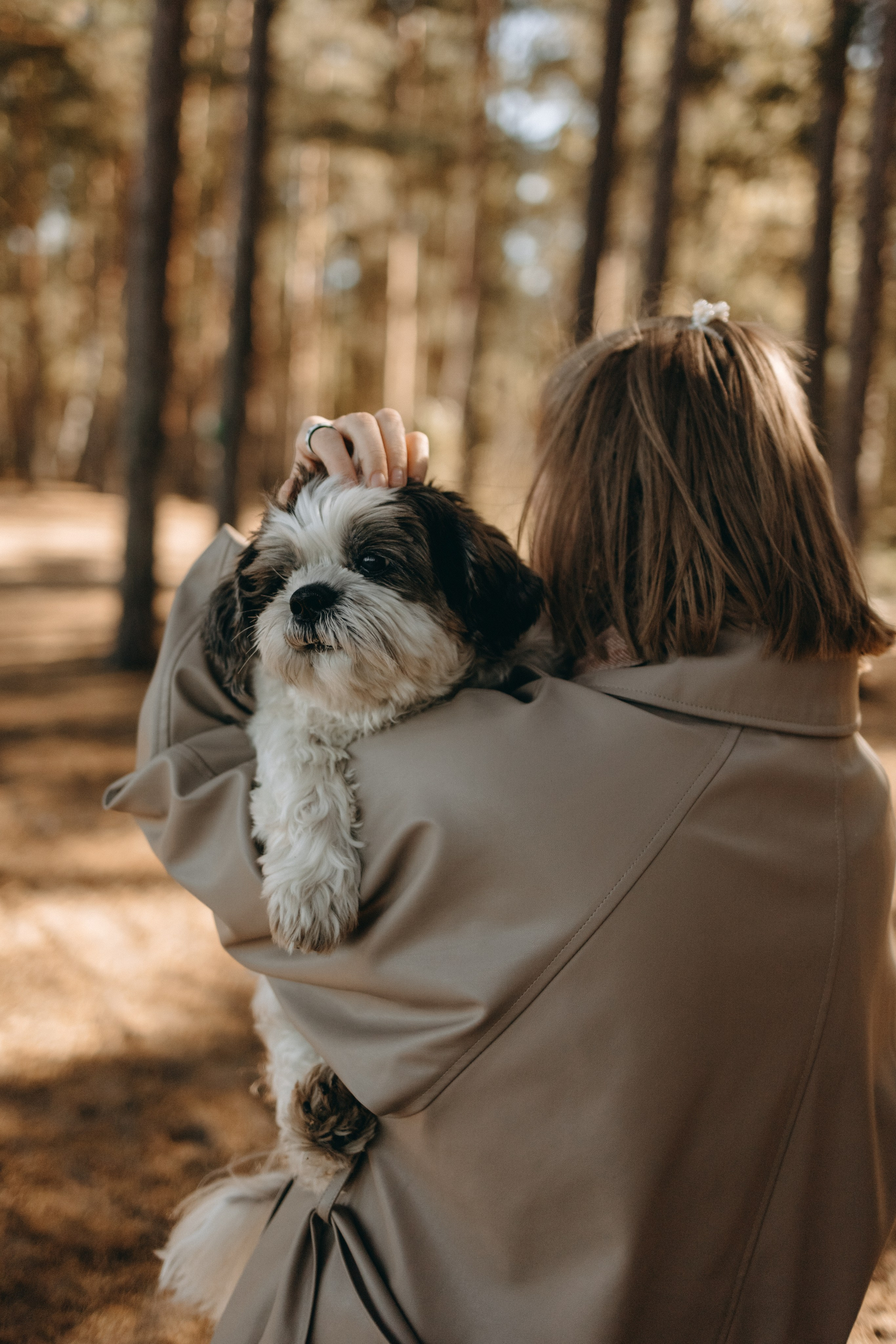 Настя и Франт. Фотограф — Анималист | Санкт-Петербург