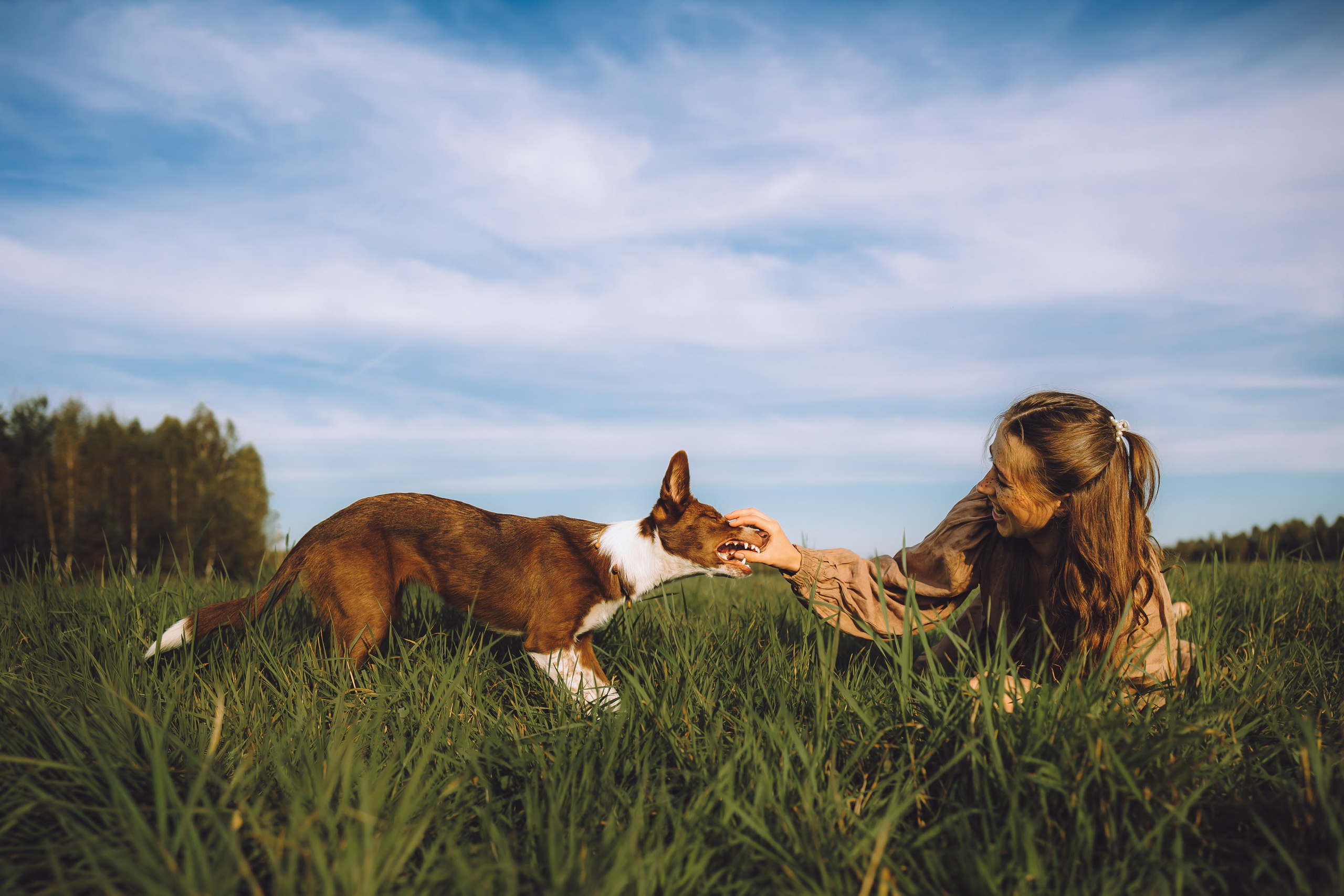 Выездной дог-тренинг от школы «Шерсть имею», Тованово