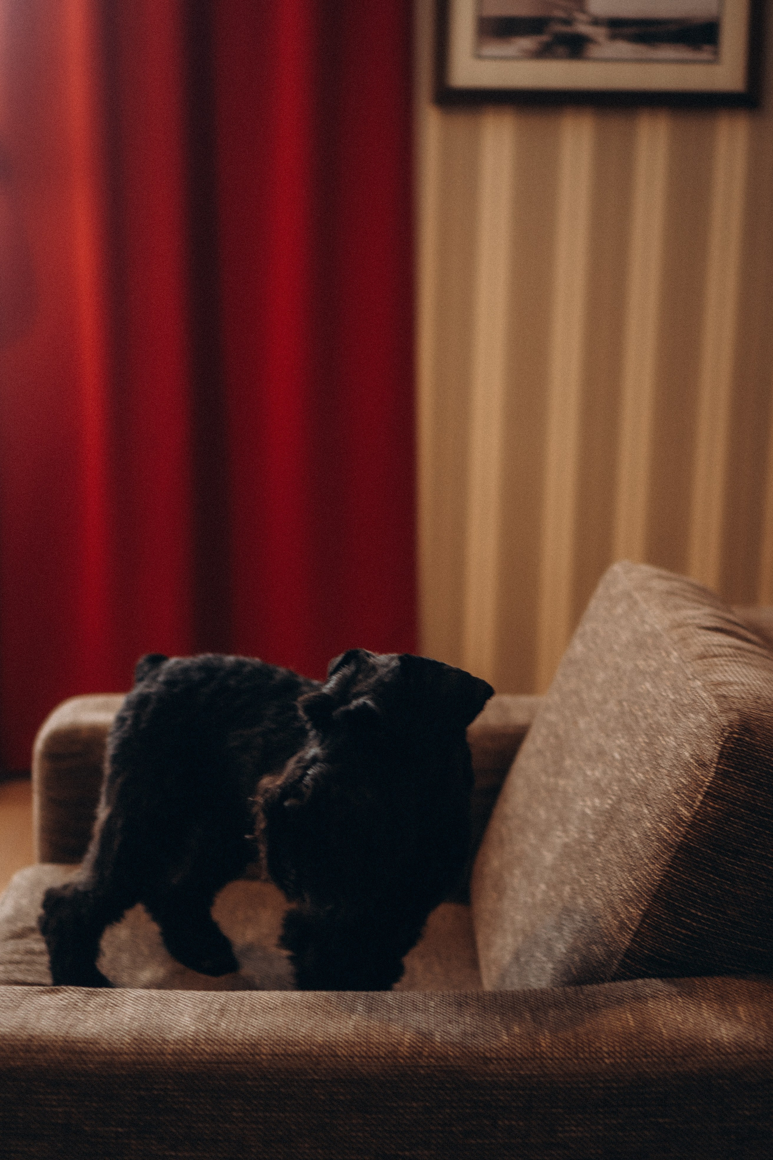 ДЕНЬ РОЖДЕНИЯ. Профессиональный фотограф, Санкт-Петербург — Виктория Богомолова