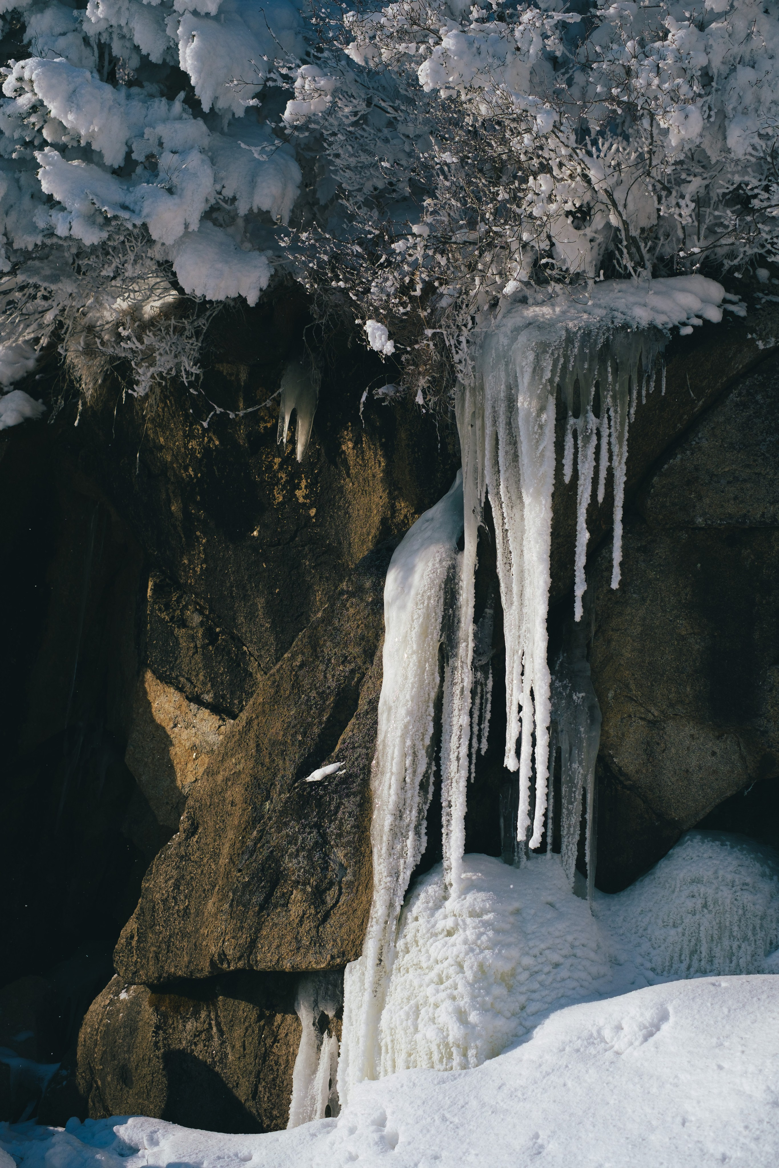 Бурейский тур. Фотограф Благовещенска Яна