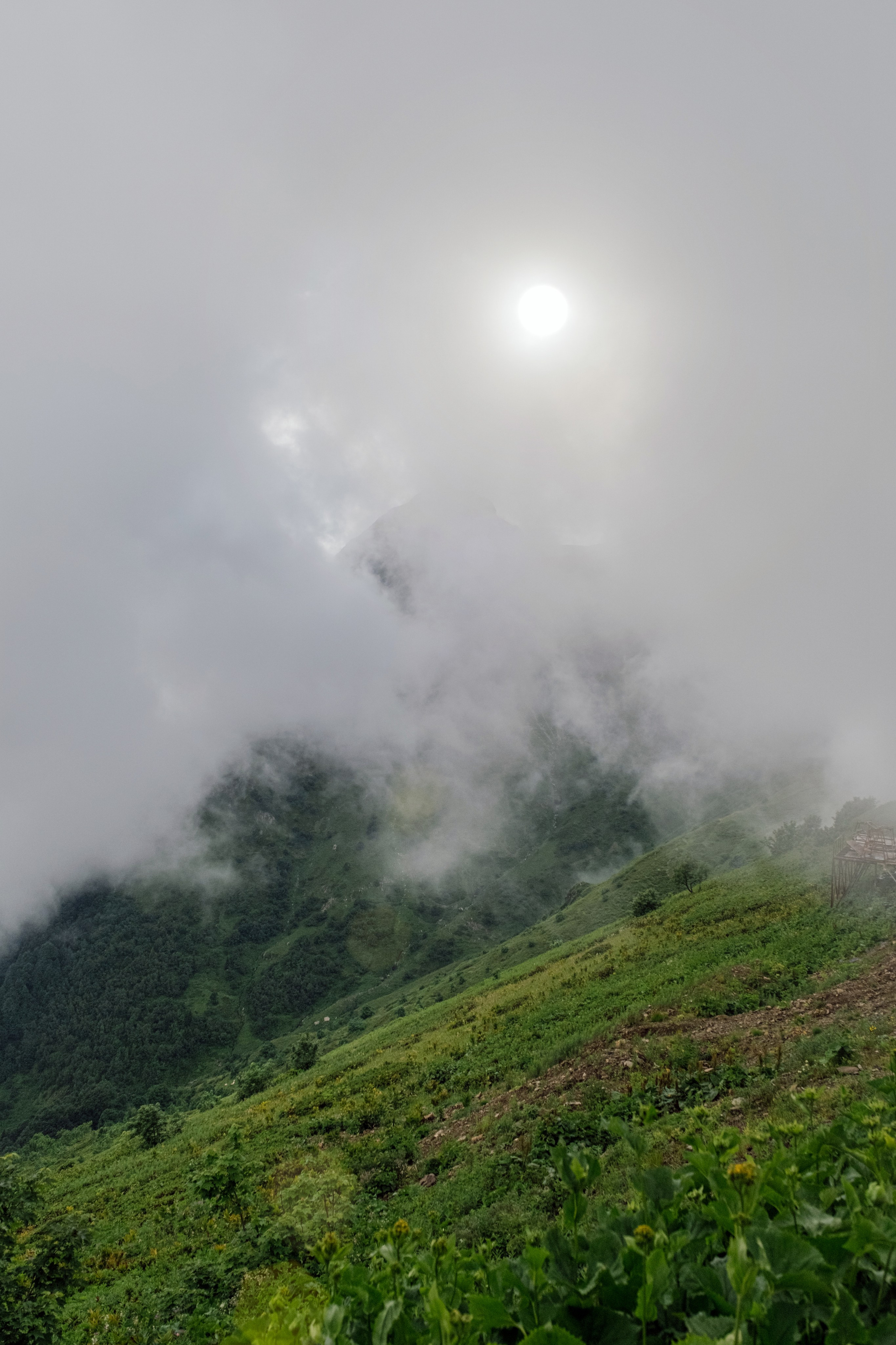 Оля / Слава. Свадебный Видеограф Фотограф в Сочи