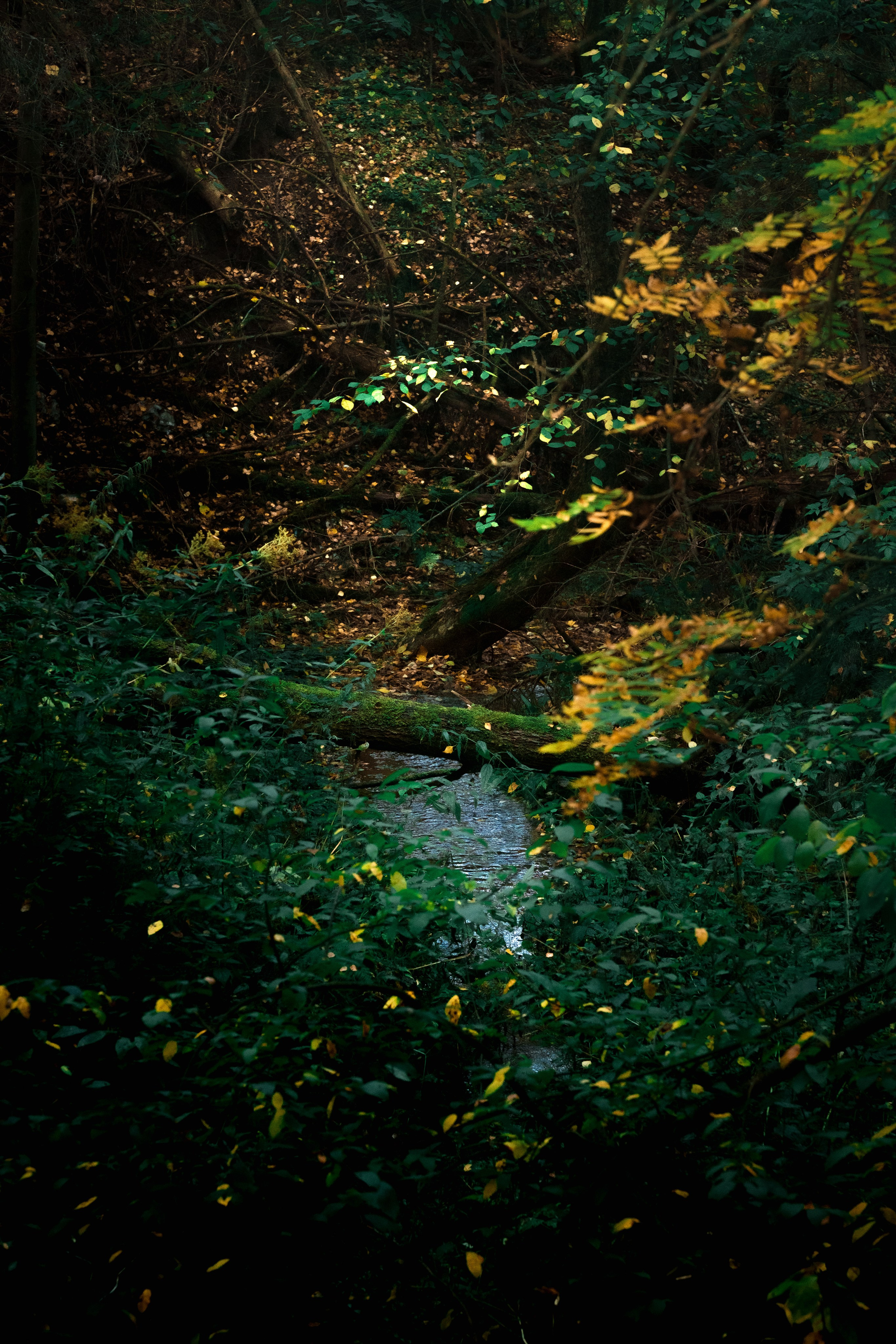 Пейзажи. Фотограф-любитель из Кирова Андрей Погребняк