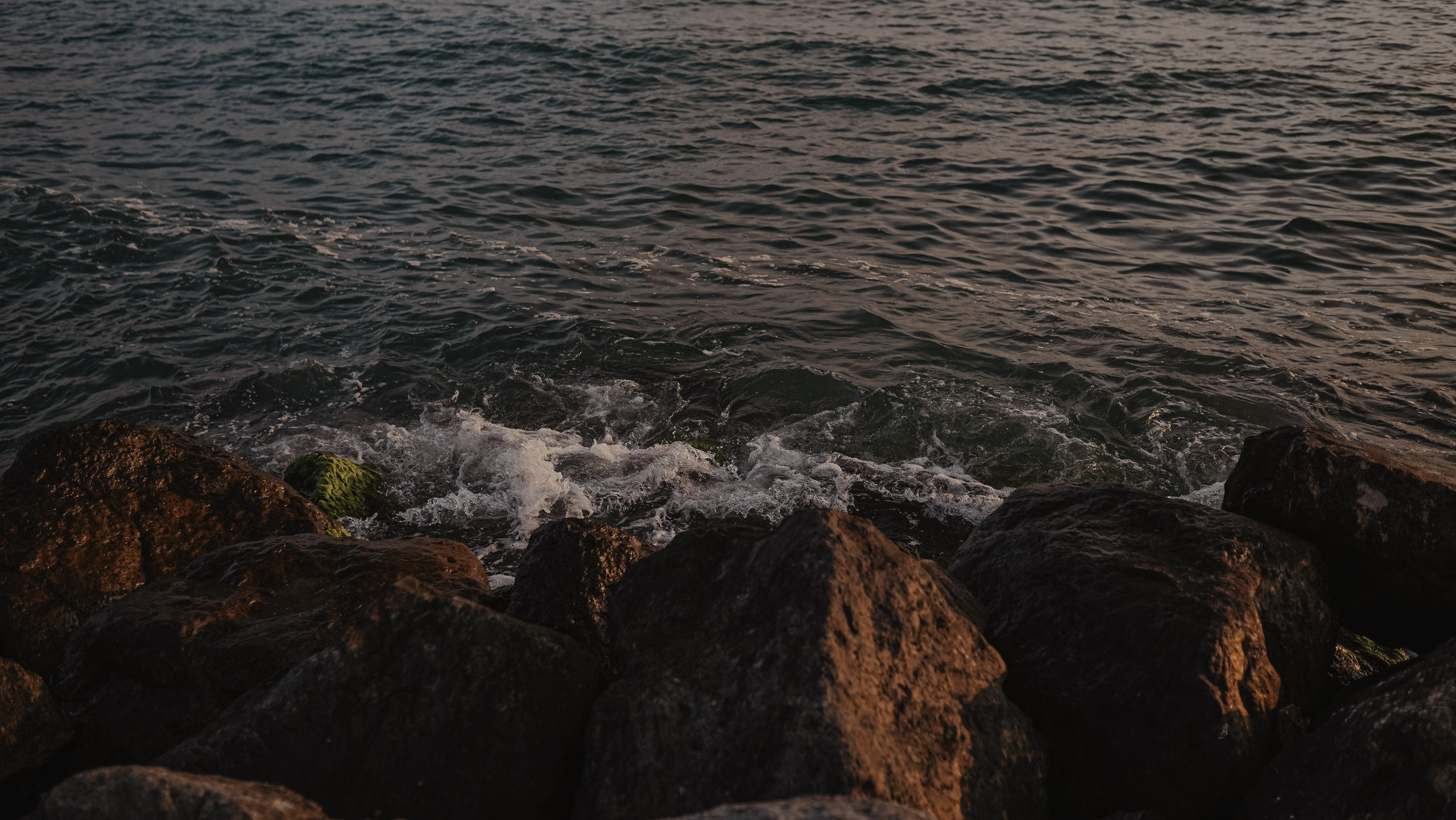 Марина. Милана Довгаль - семейный фотограф и видеограф  в Адлере и Сочи