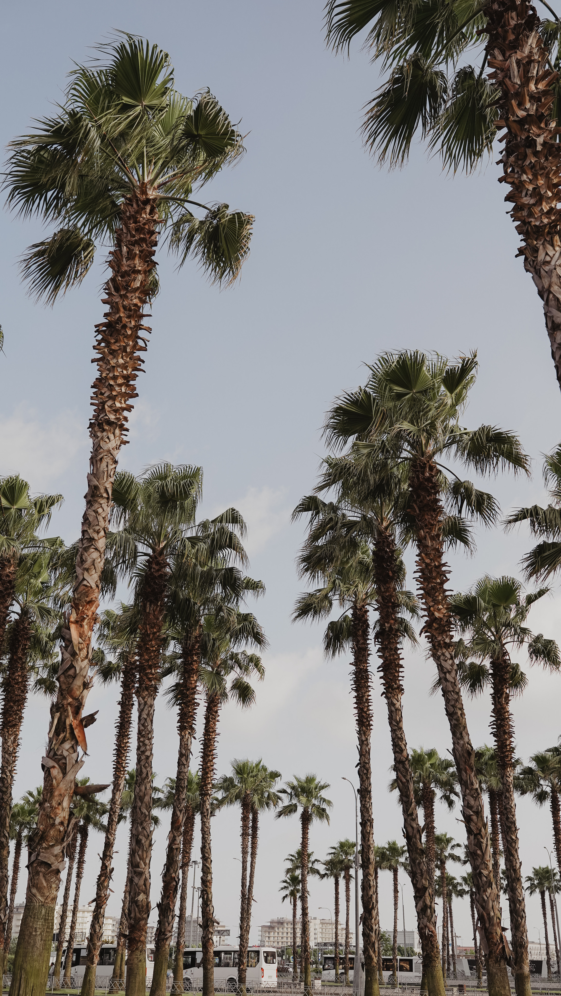 Марина. Милана Довгаль - семейный фотограф и видеограф  в Адлере и Сочи