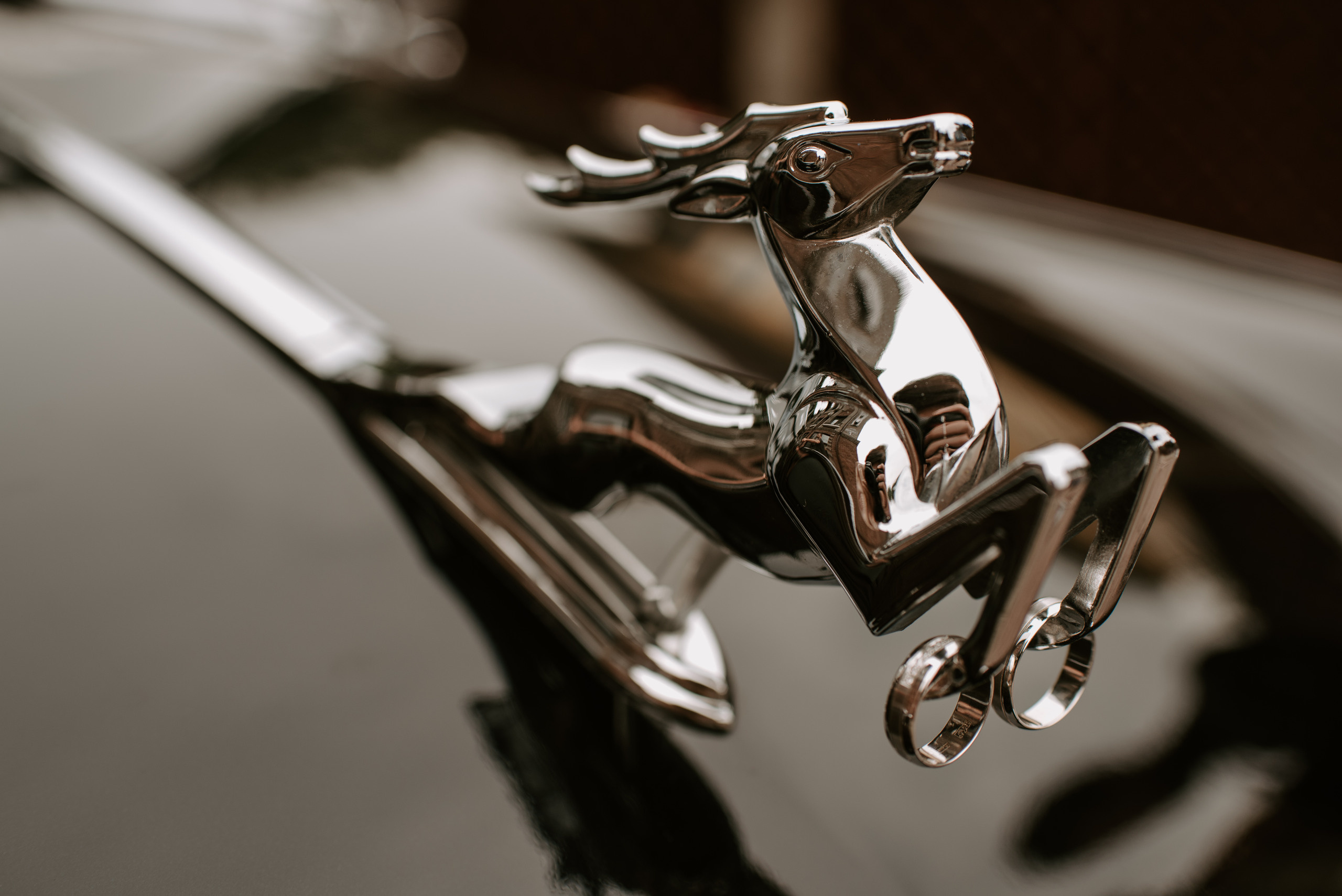 D&K. Свадебный, репортажный и семейный фотограф в Москве Арина Зак