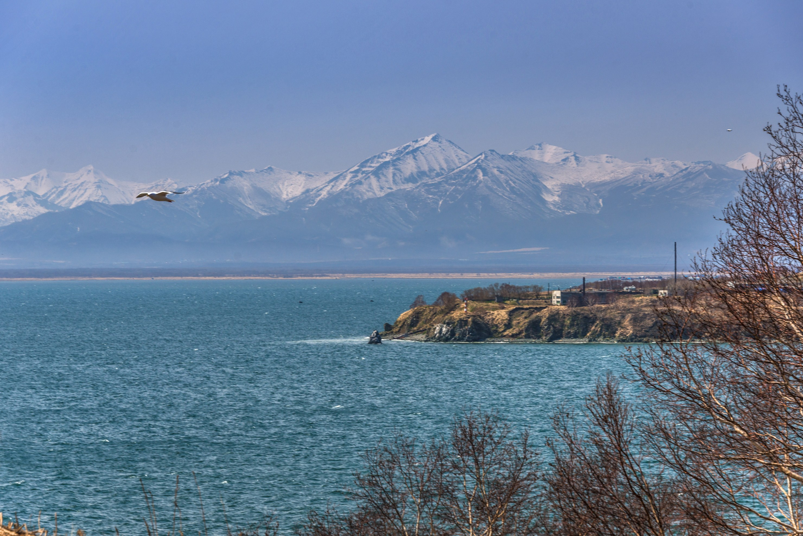 Камчатка Петропавловск. Фотограф Лара Кучина