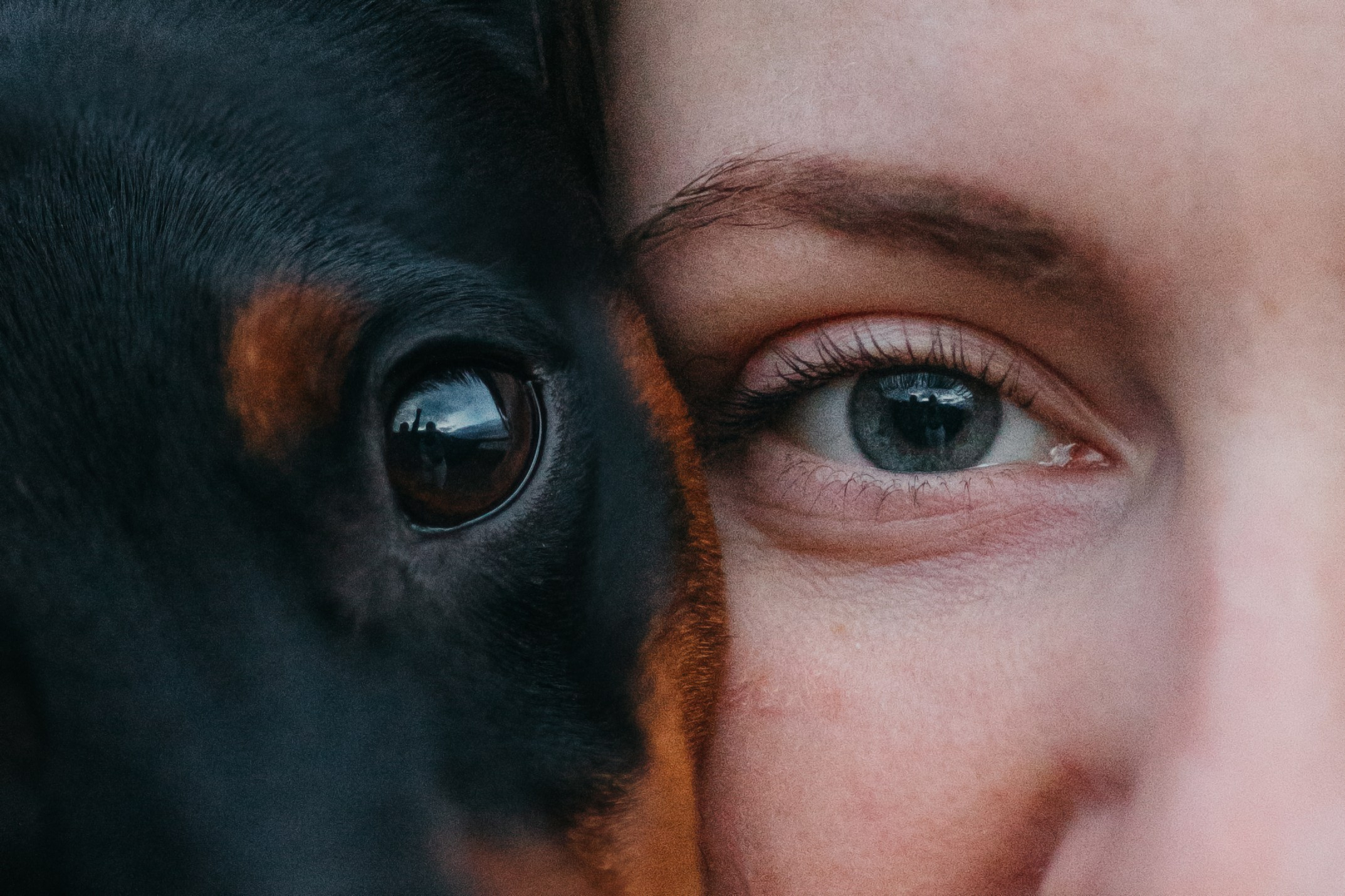 Сириус и его семья. Фотограф — Анималист | Санкт-Петербург