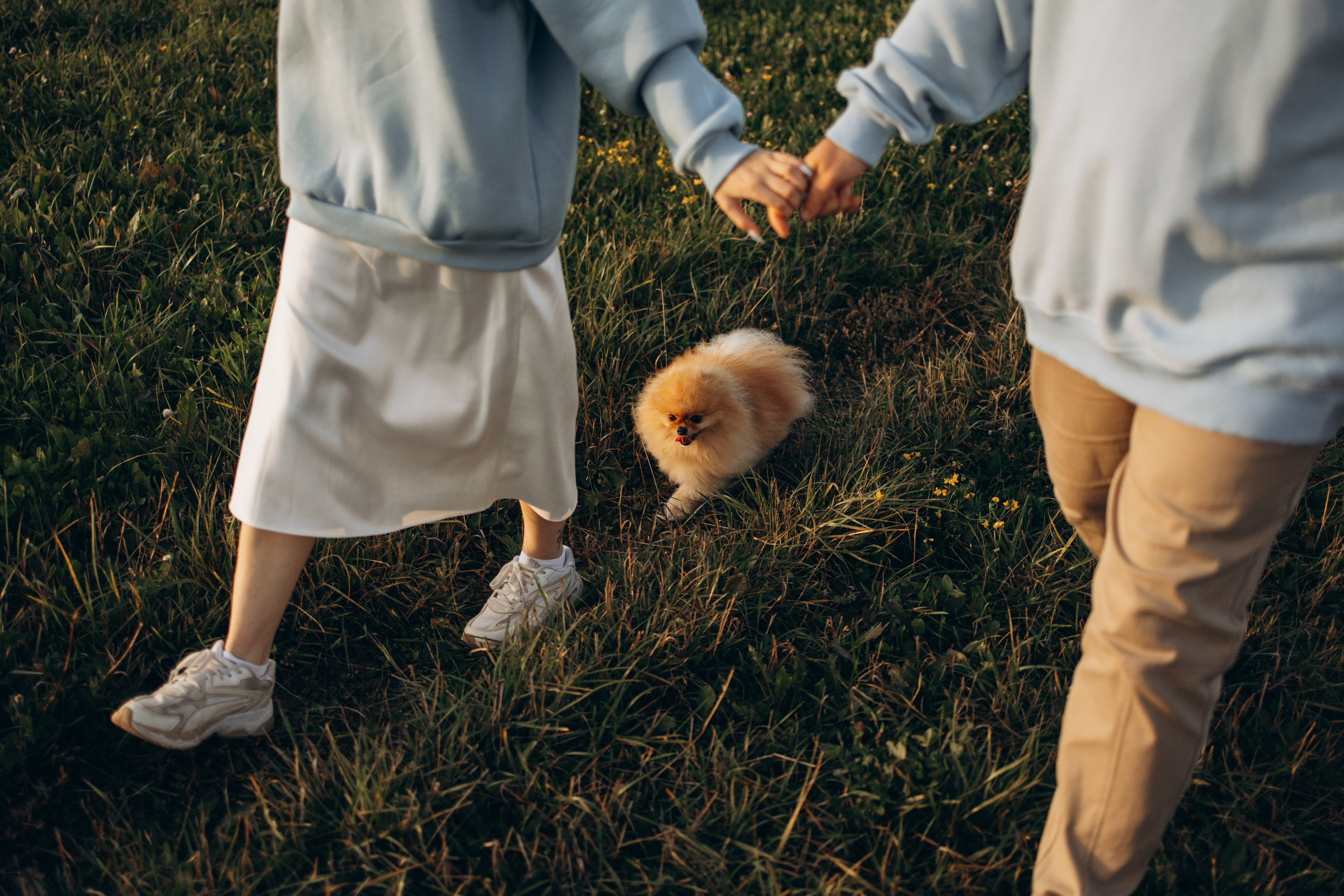 Стив и его семья. Фотограф — Анималист | Санкт-Петербург