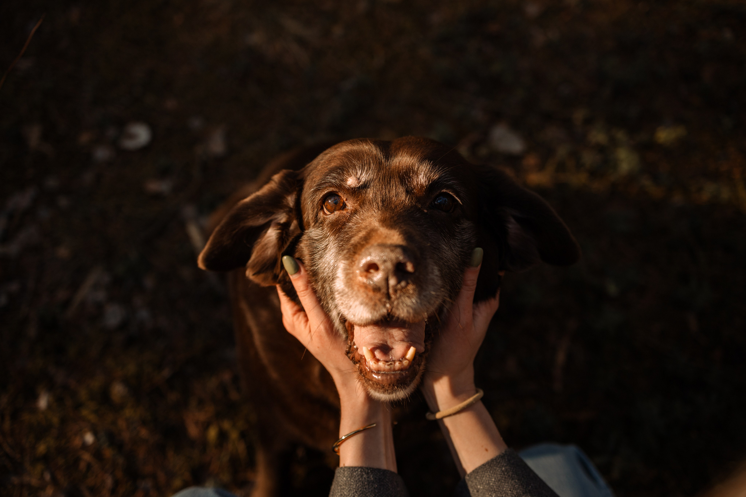 Оля и Питоня. Фотограф — Анималист | Санкт-Петербург