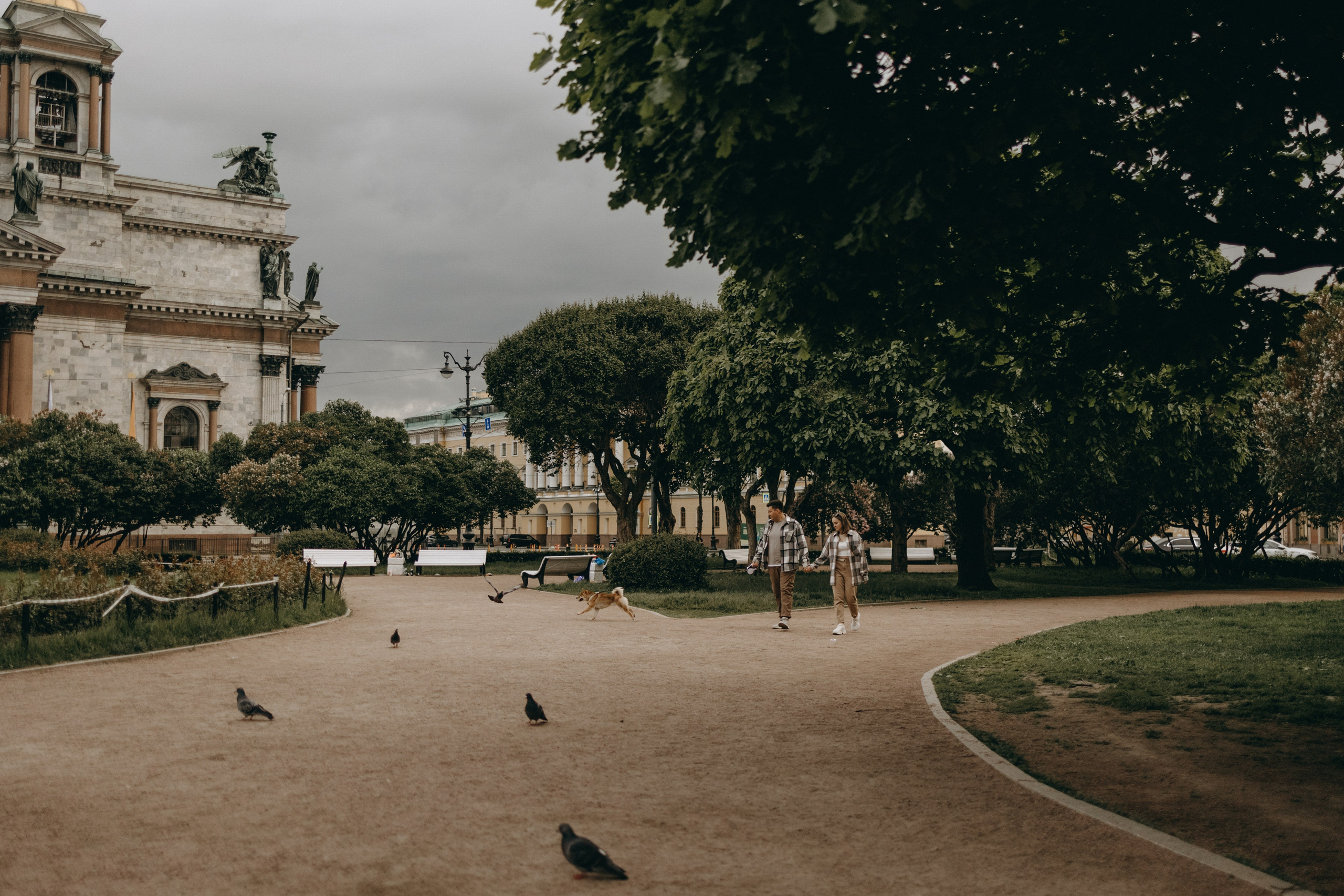 Сириус и его семья. Фотограф — Анималист | Санкт-Петербург