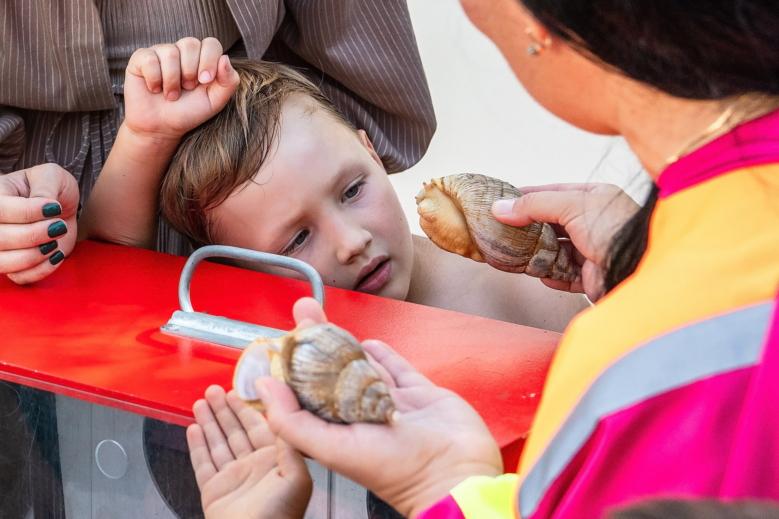 Фотограф сочи на день рождения. Фотограф Сочи