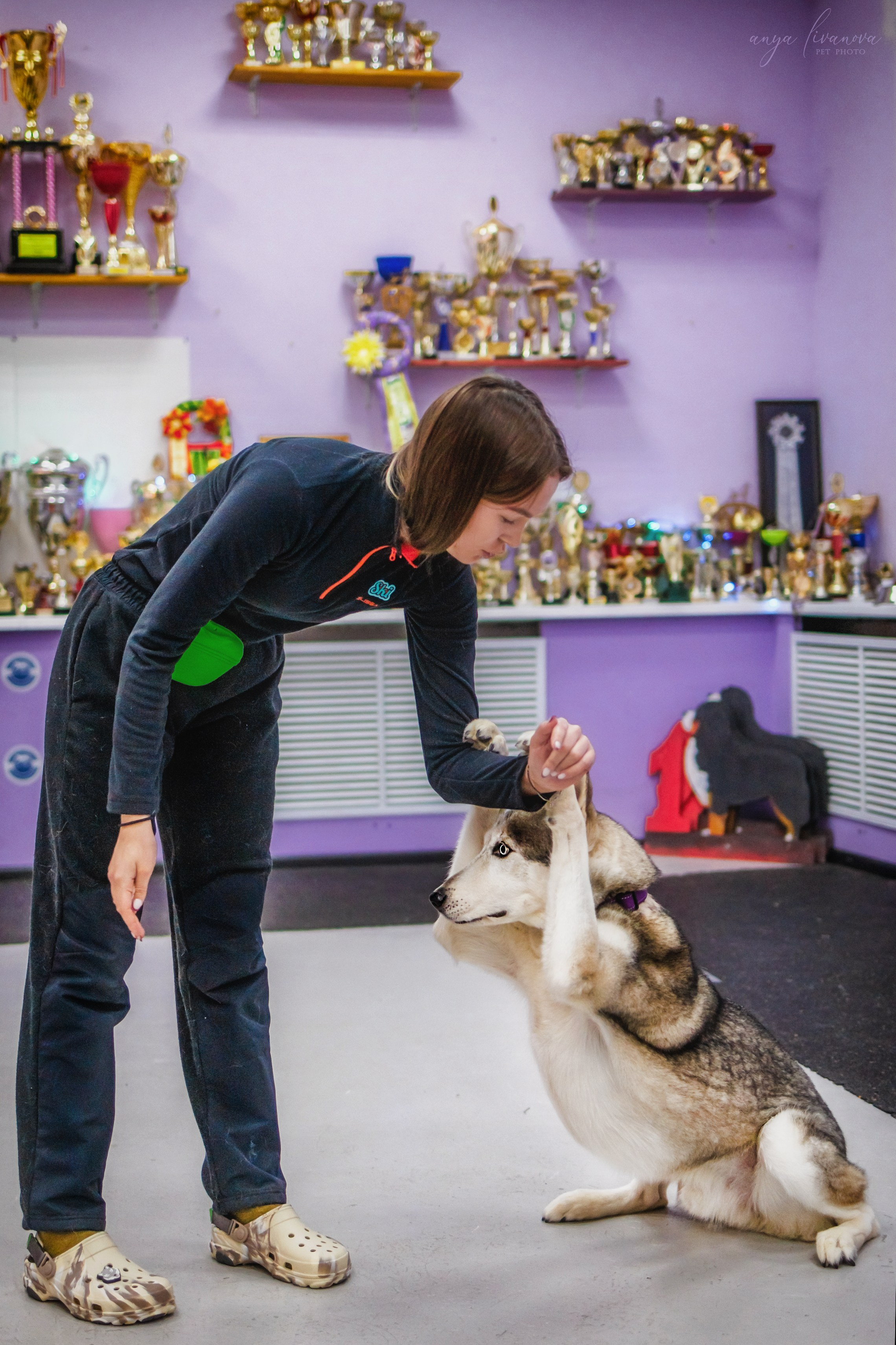 НГ конкурсы в «Simply the Best». Фотограф анималист Аня Ливанова | Рыбинск